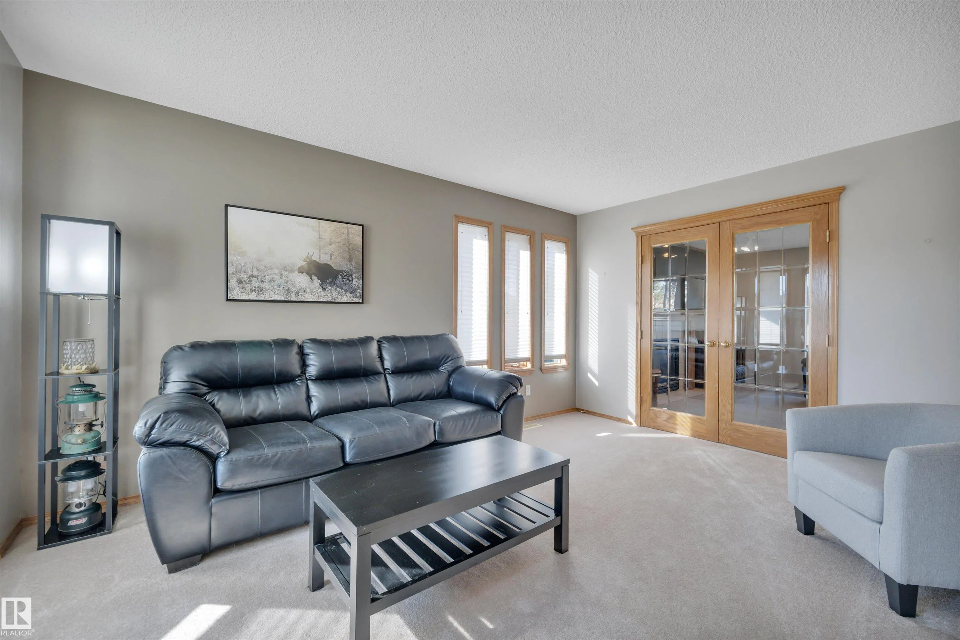 113 PIPESTONE Drive