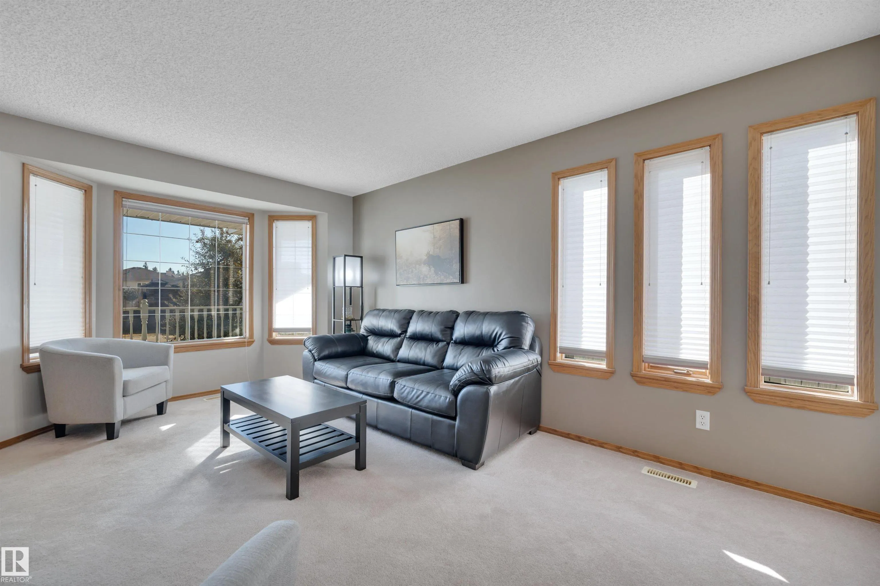 113 PIPESTONE Drive