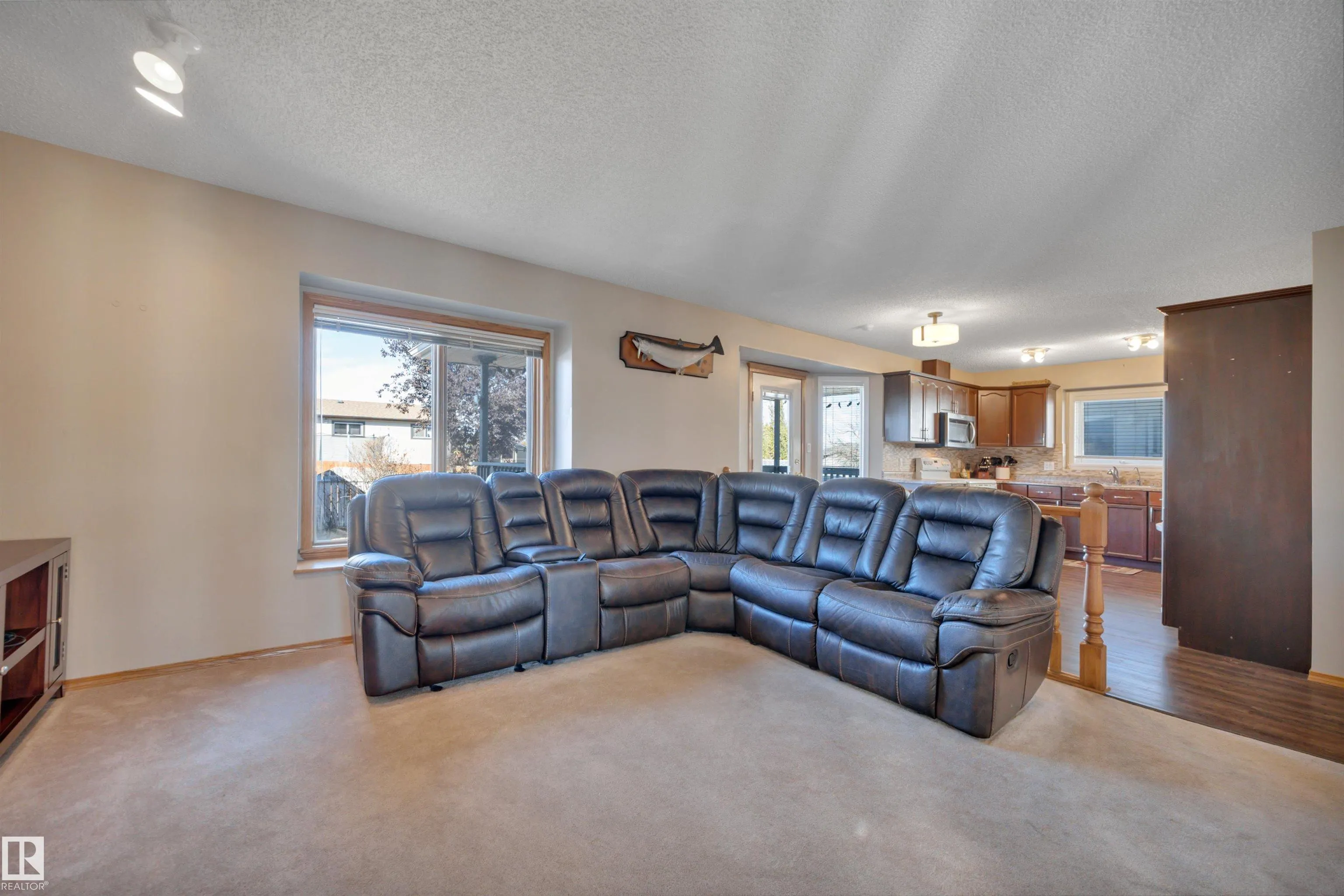 113 PIPESTONE Drive