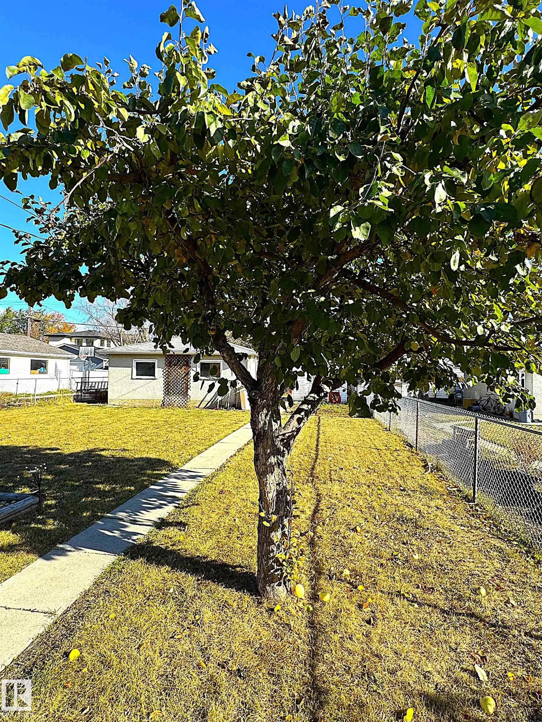 13019 120 Street