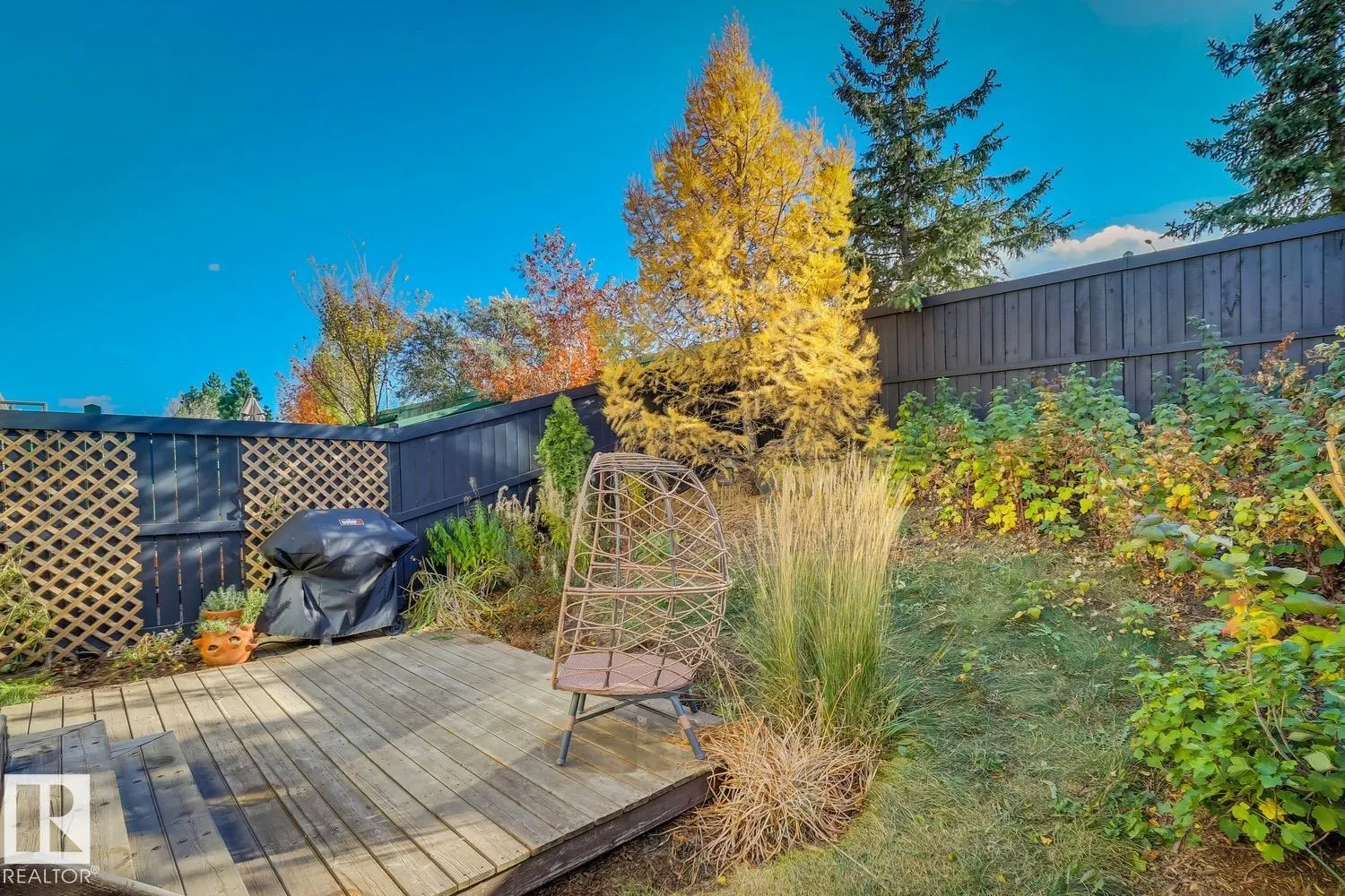 219 CHARLOTTE Way