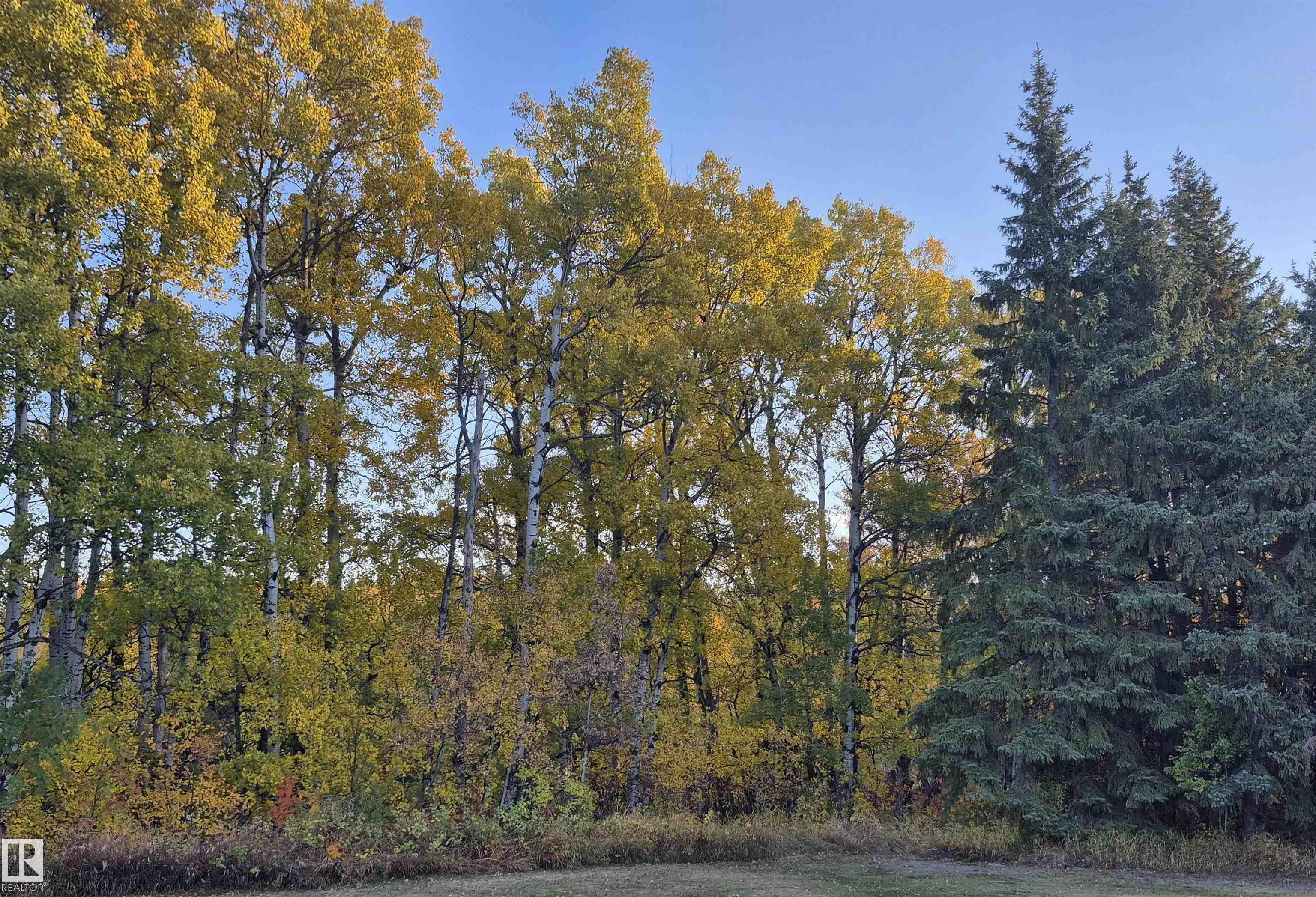 50322 RGE ROAD 10