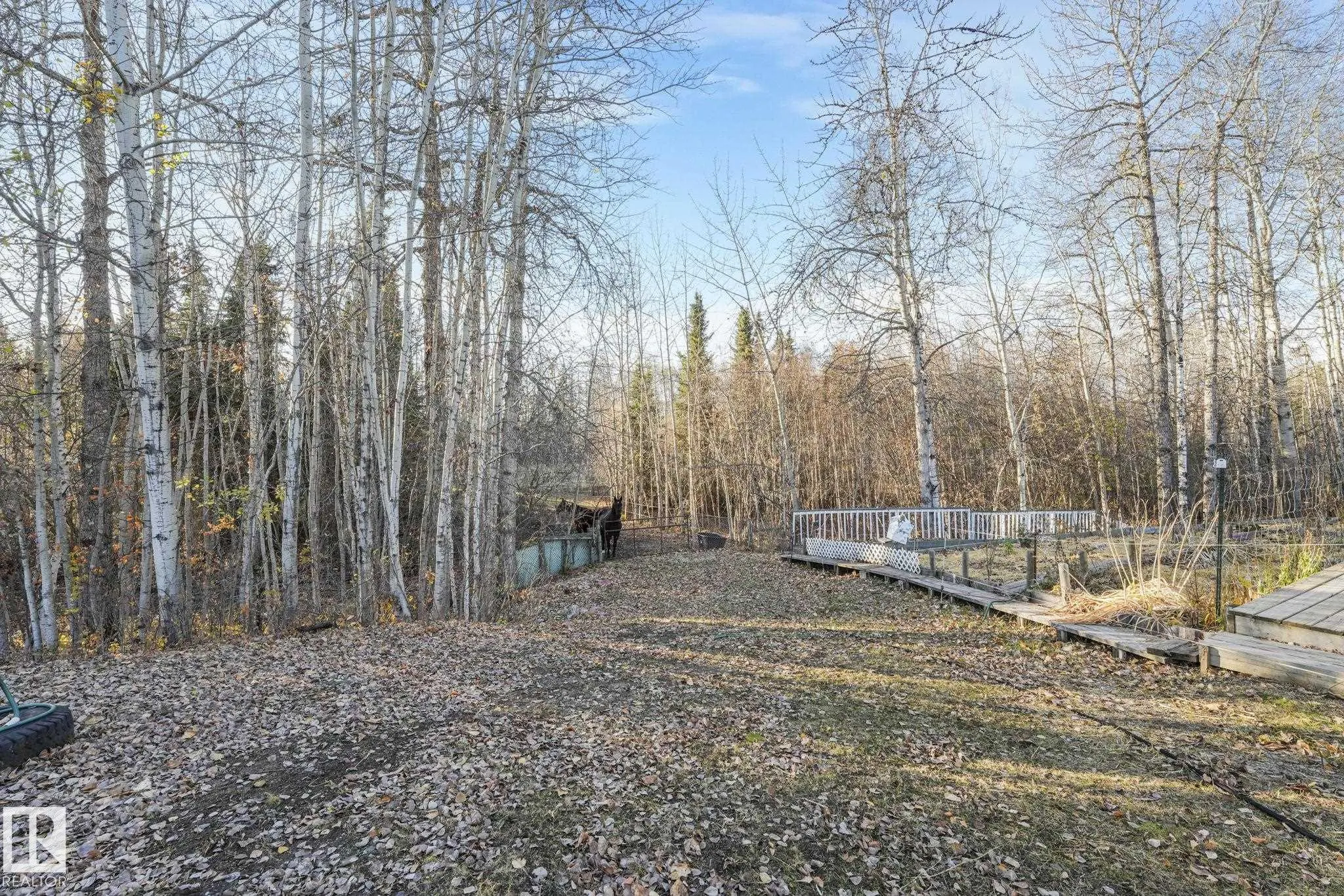 54227 RGE ROAD 41