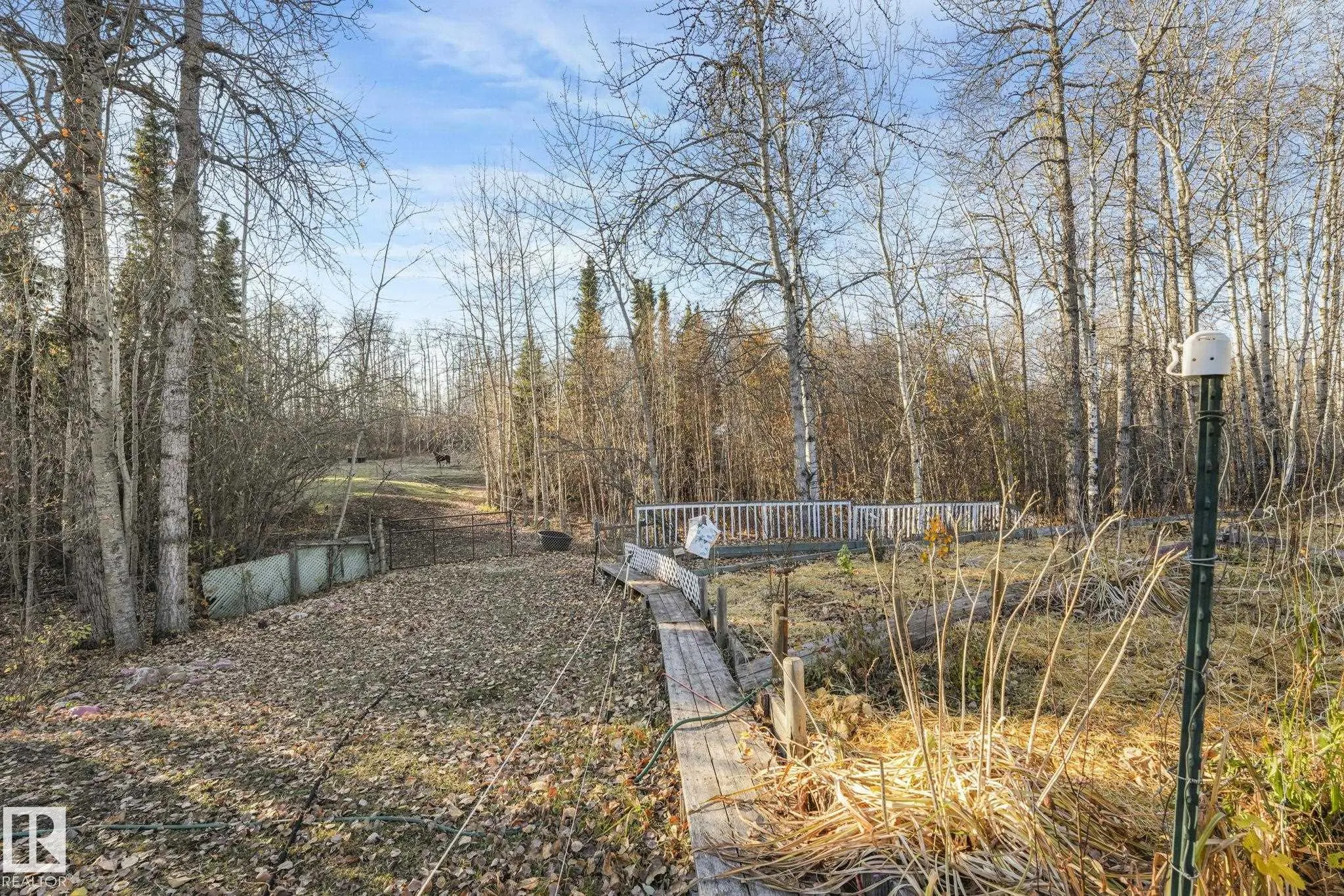 54227 RGE ROAD 41