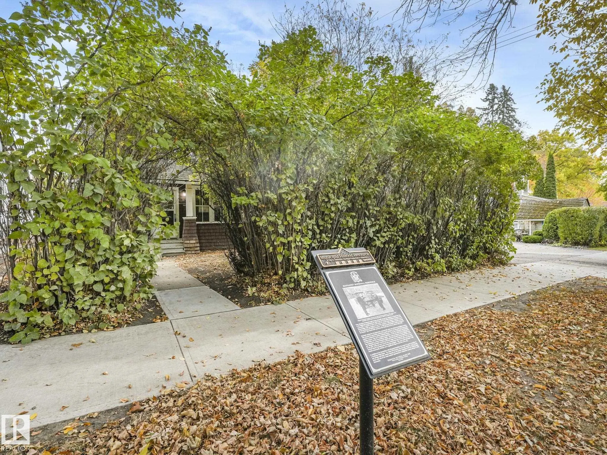 11119 62 Street