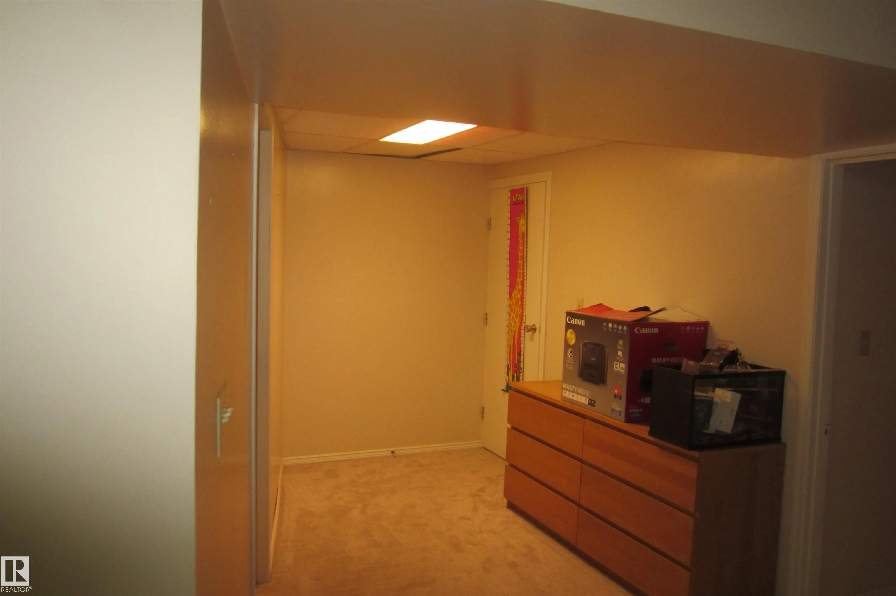 119 Willow Drive