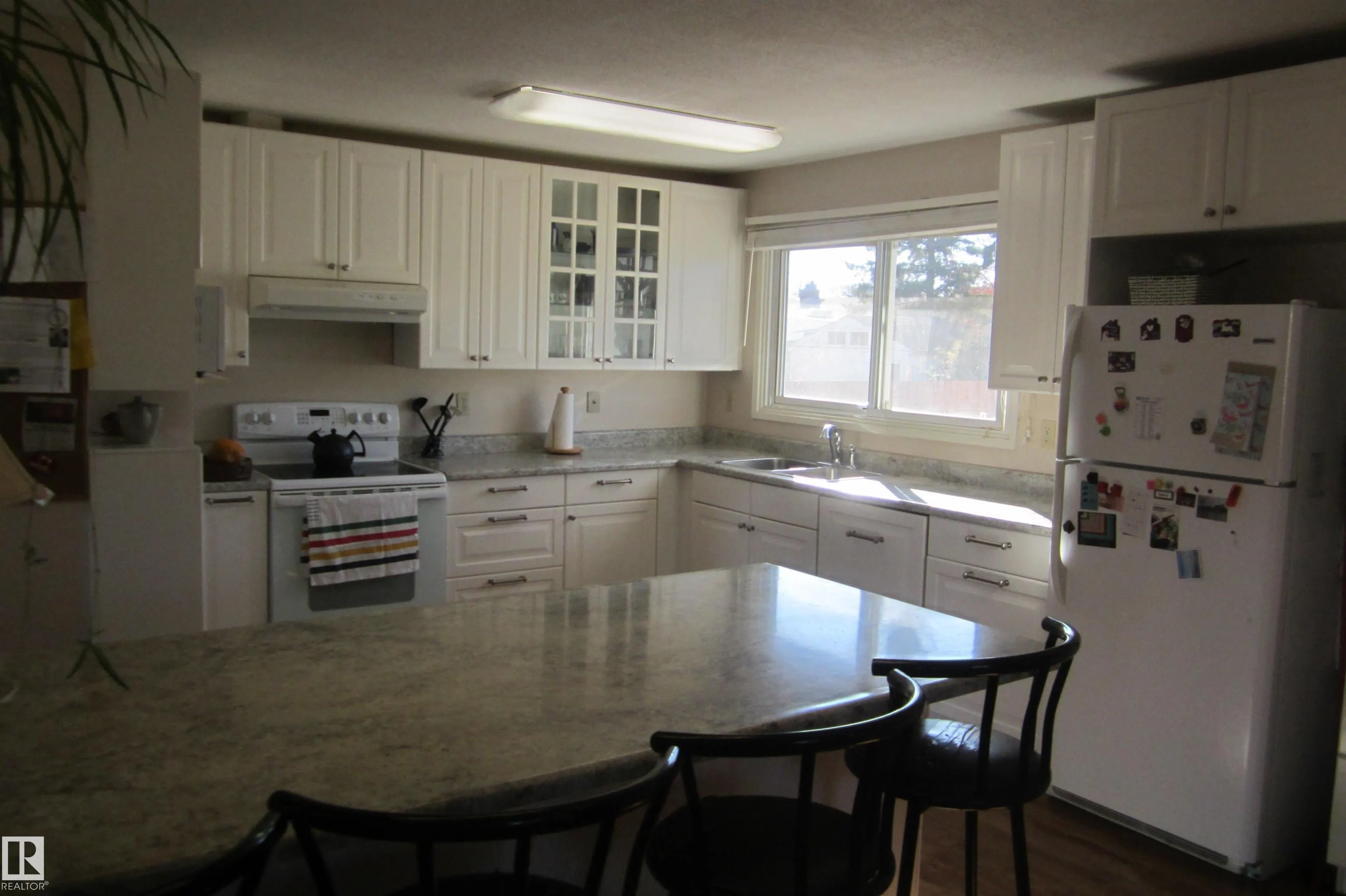 119 Willow Drive