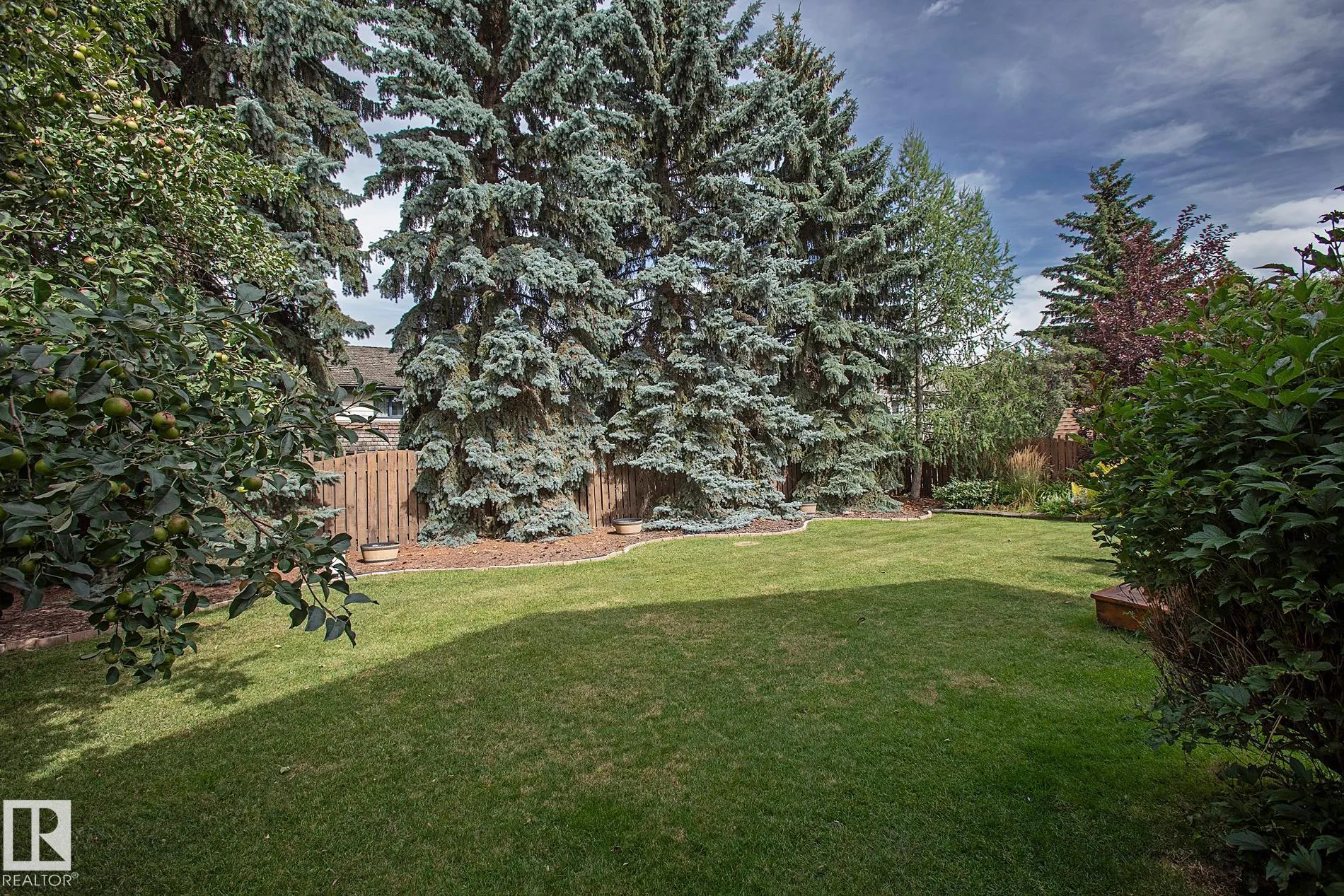 436 ROONEY Crescent