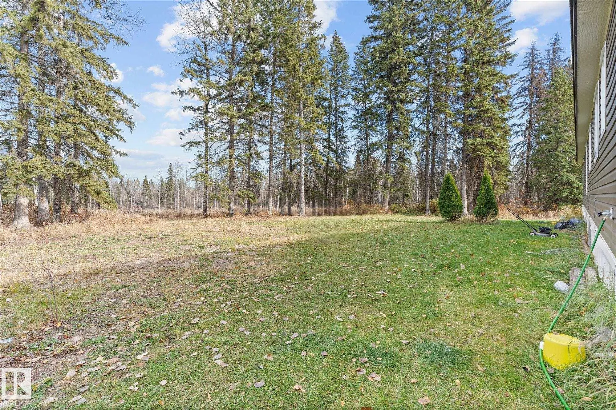 52403 RRD 81