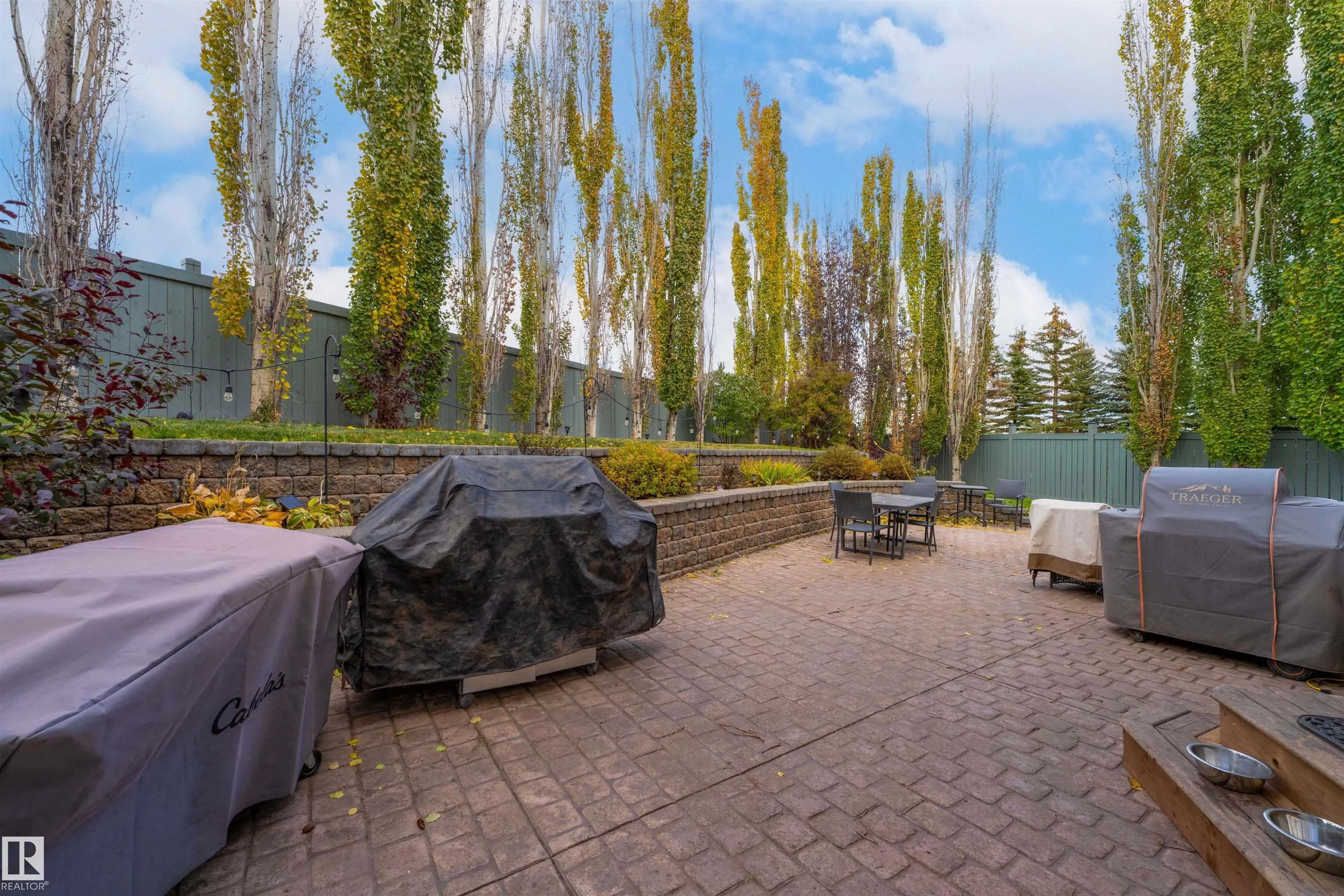 17 OLMSTEAD Crest