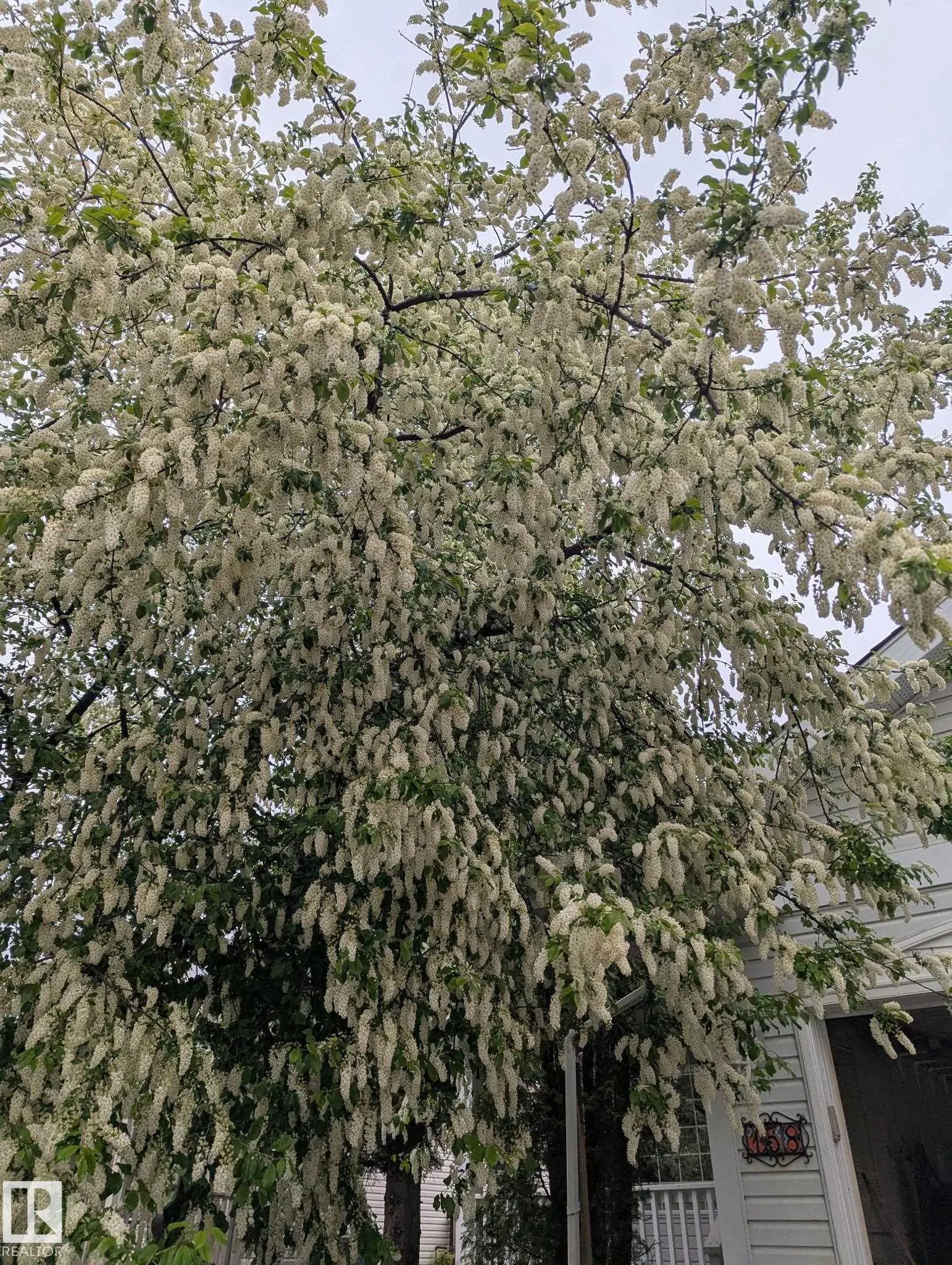 158 MEADOWVIEW Drive