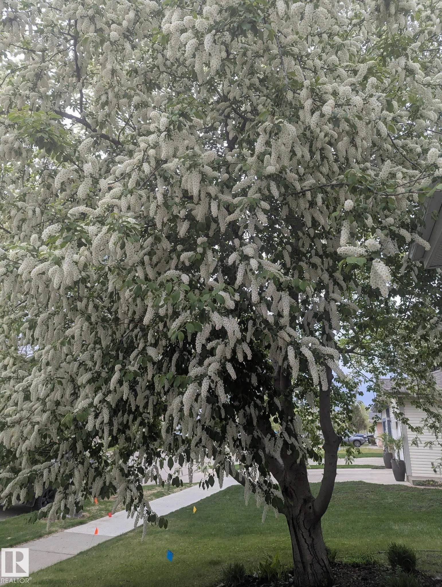 158 MEADOWVIEW Drive