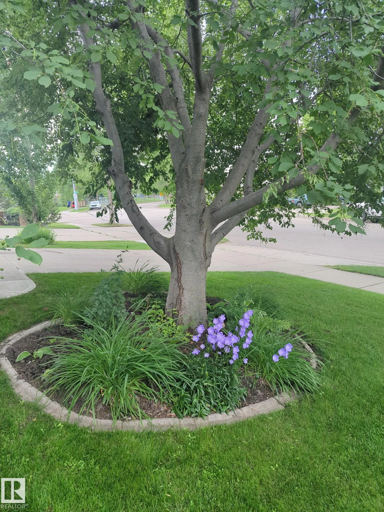 158 MEADOWVIEW Drive