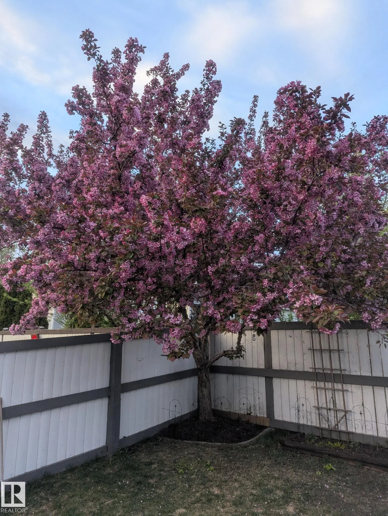 158 MEADOWVIEW Drive