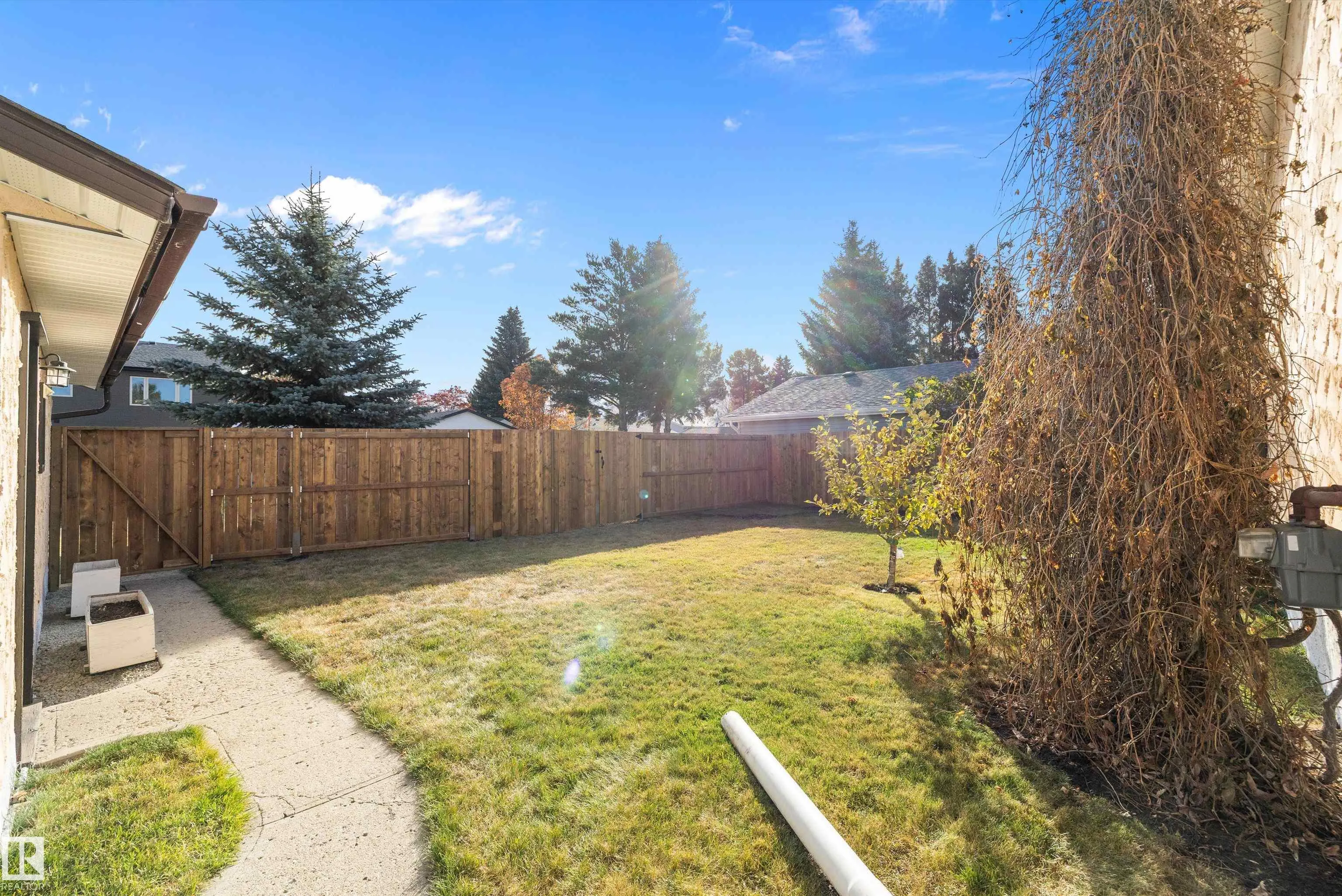 113 Elm Crescent