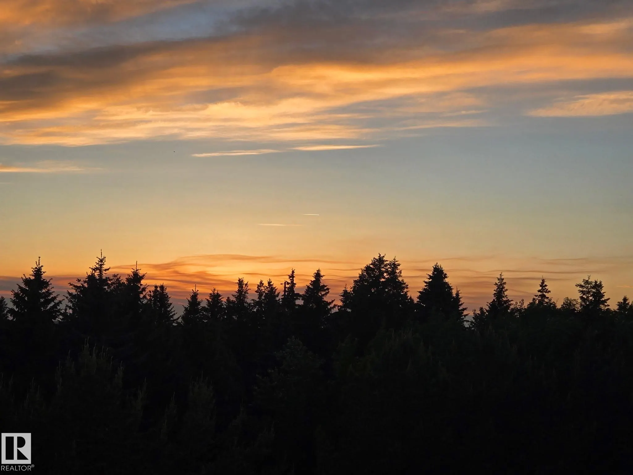 1304 RUTHERFORD Road