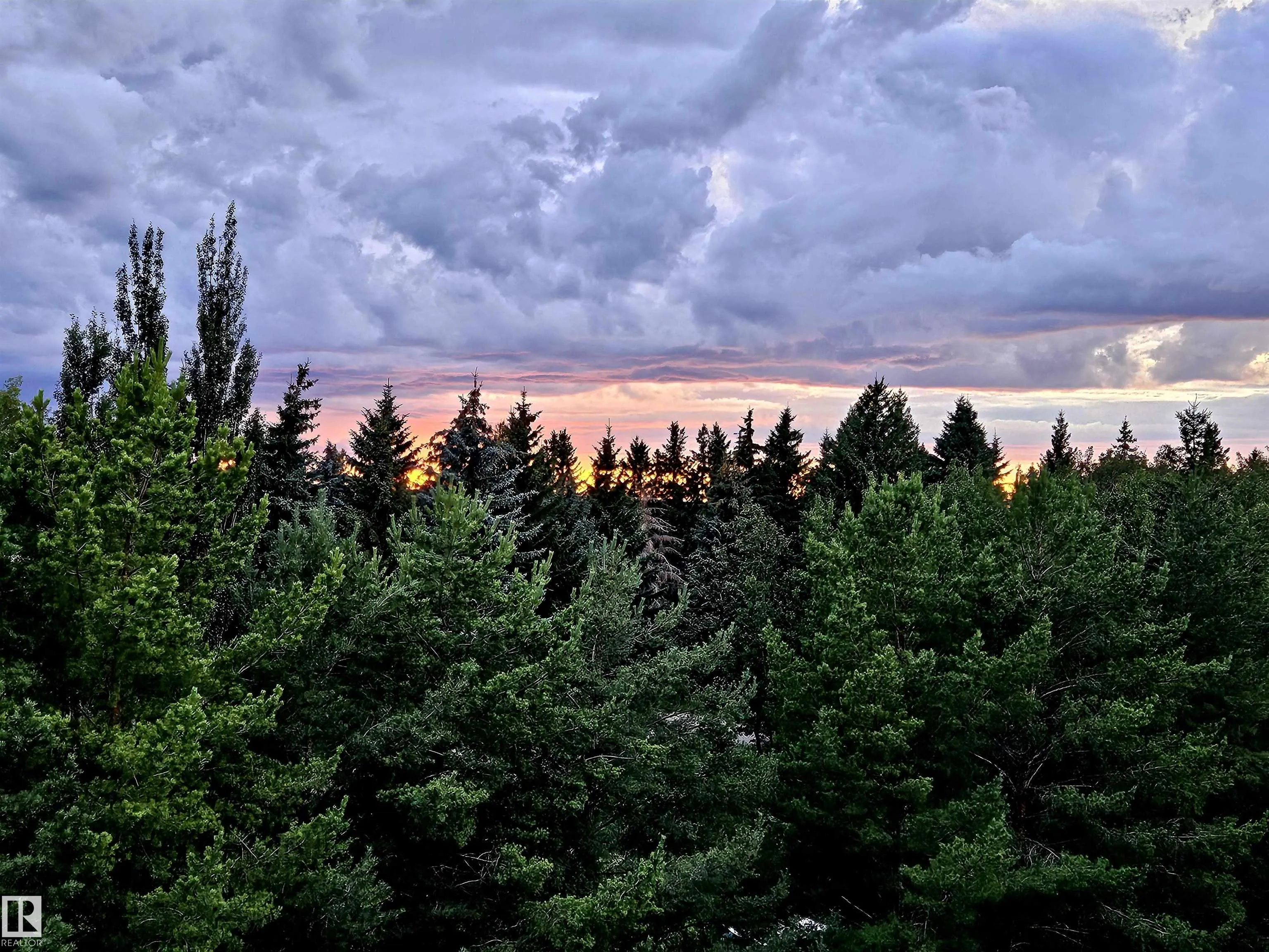 1304 RUTHERFORD Road