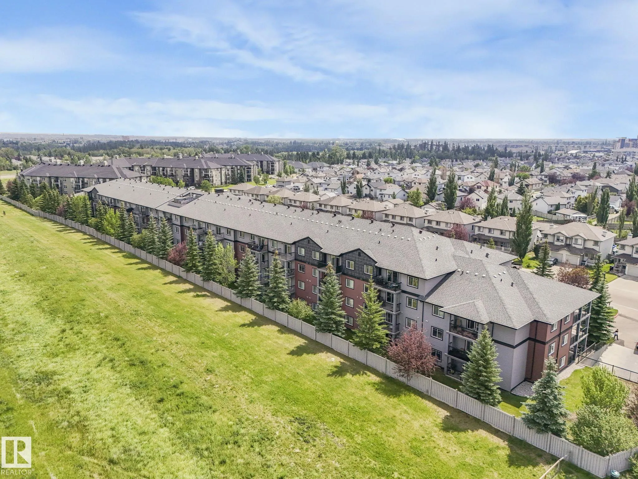 646 MCALLISTER Loop