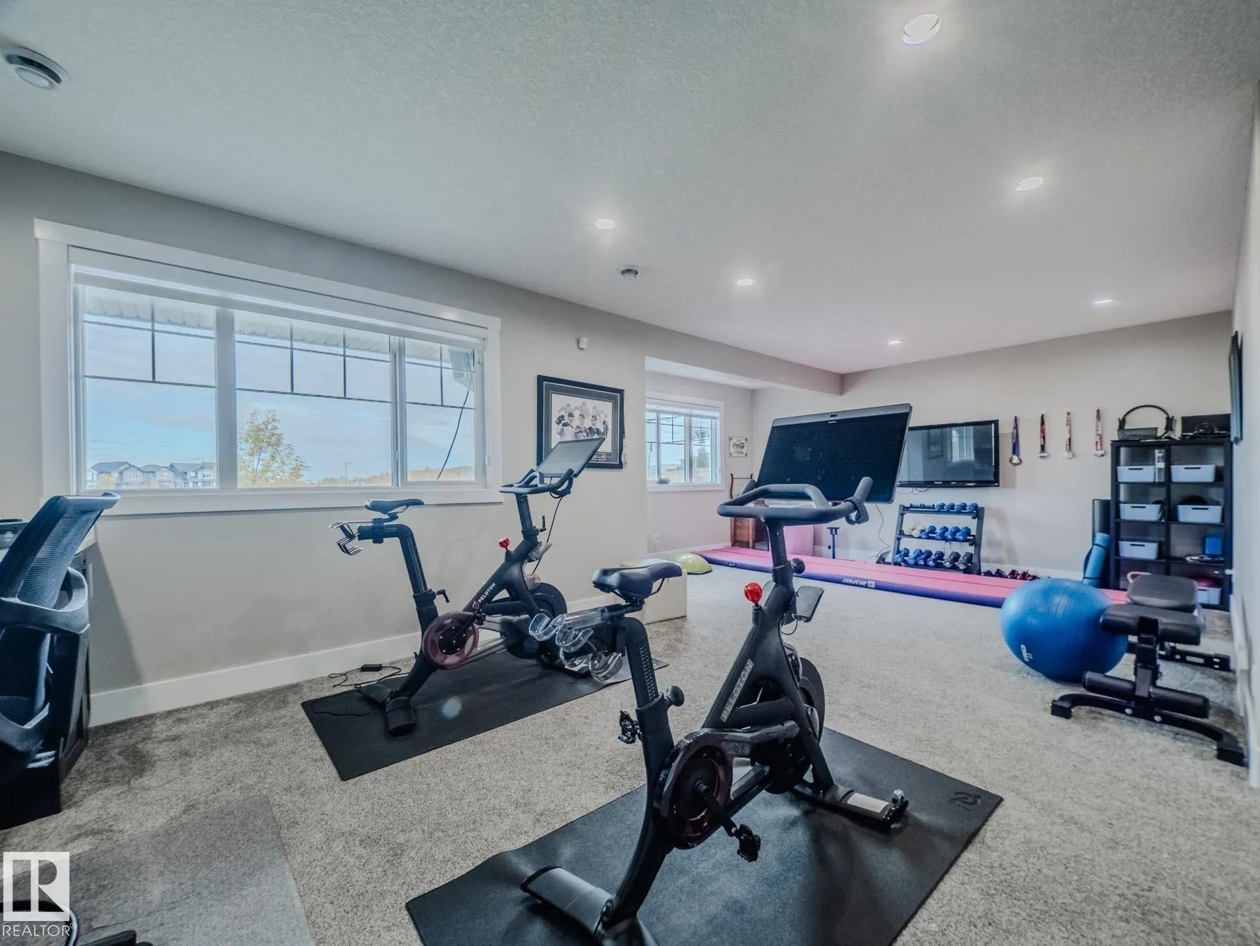 1049 COOPERS HAWK LINK Link