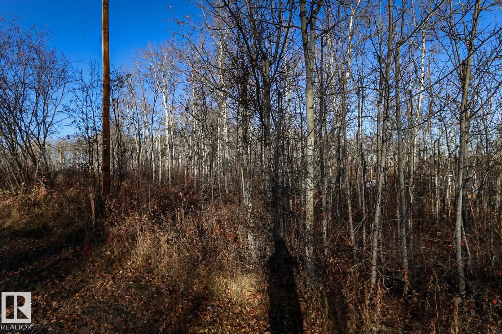 431 11121 Township Road 595