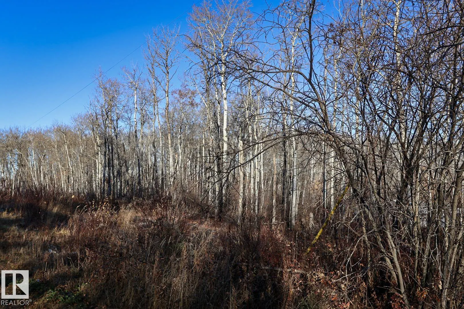 431 11121 Township Road 595