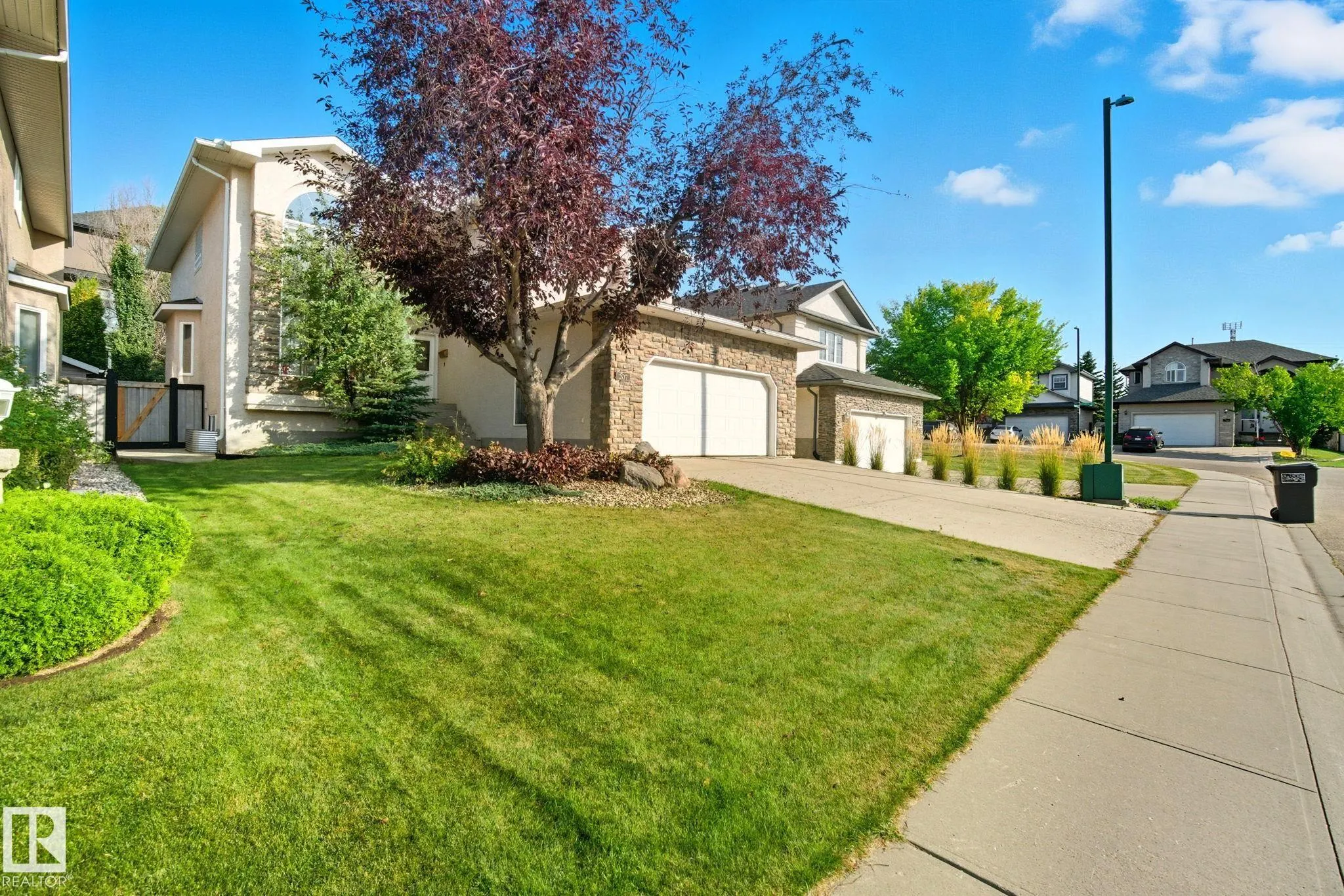 207 FALCONER LINK Link