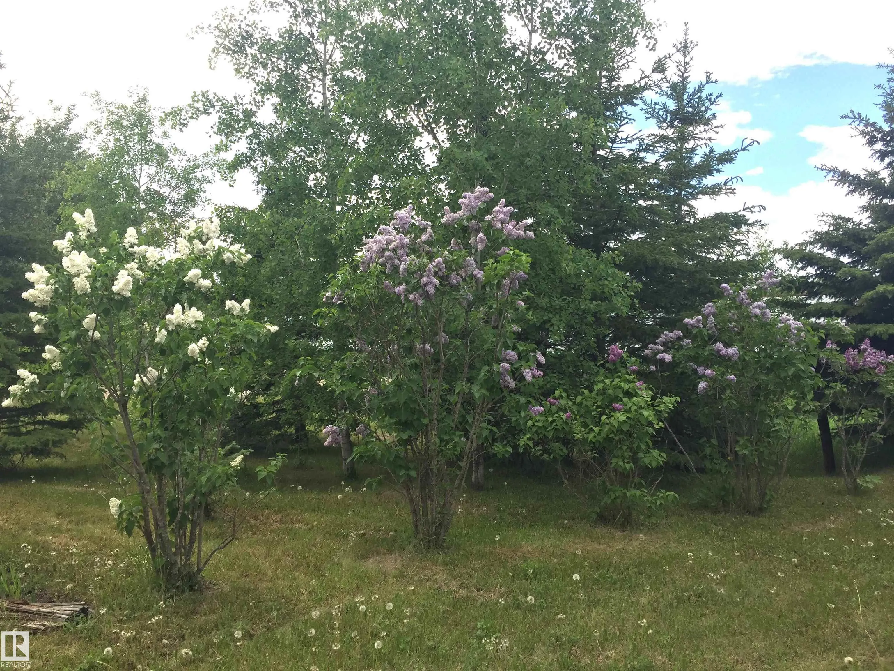 Main Street First Ave