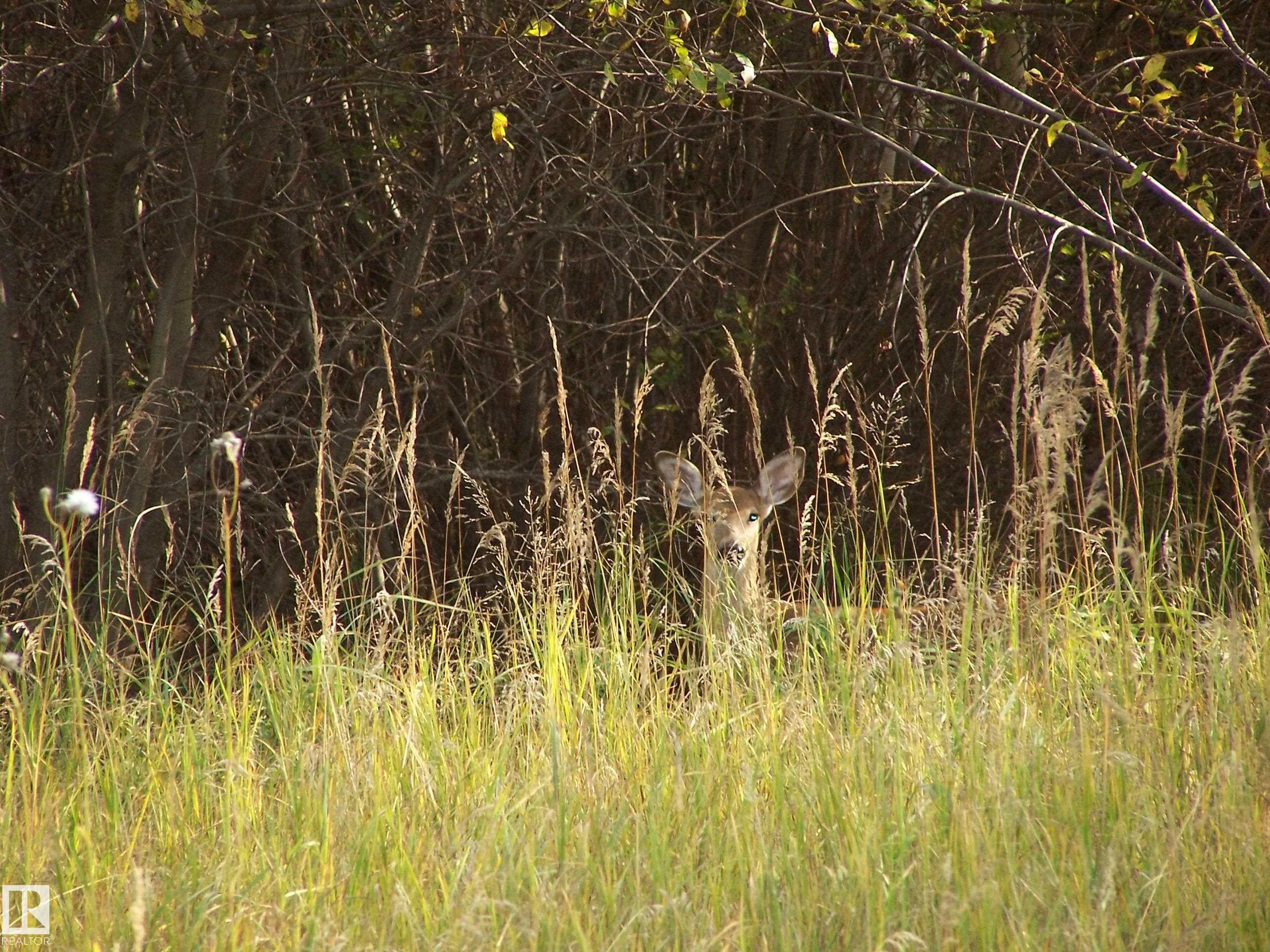 Main Street First Ave