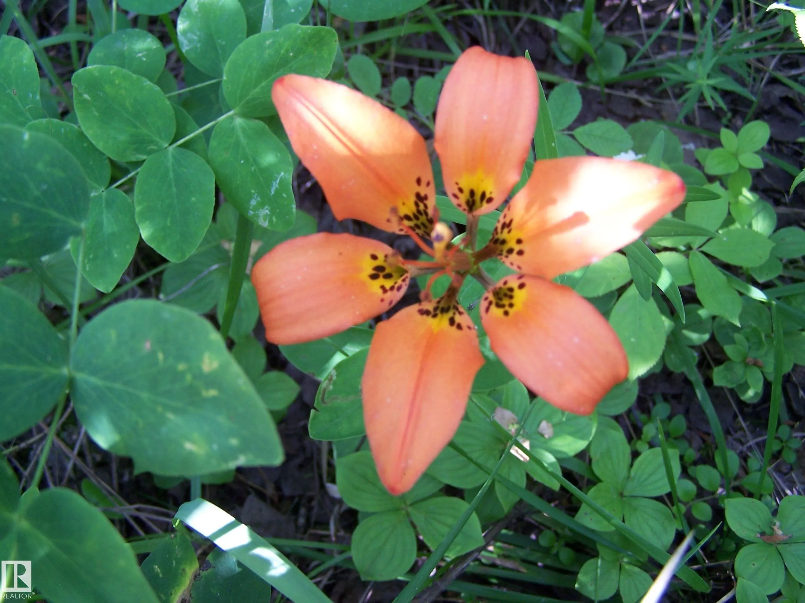 Main Street First Ave