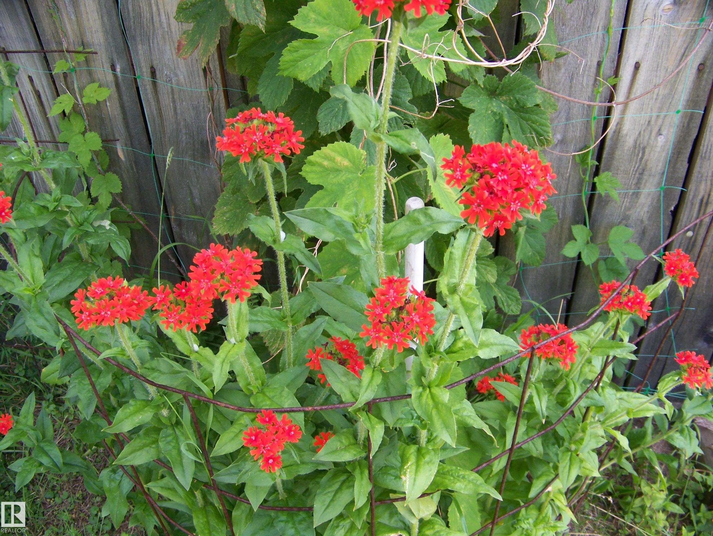 Main Street First Ave