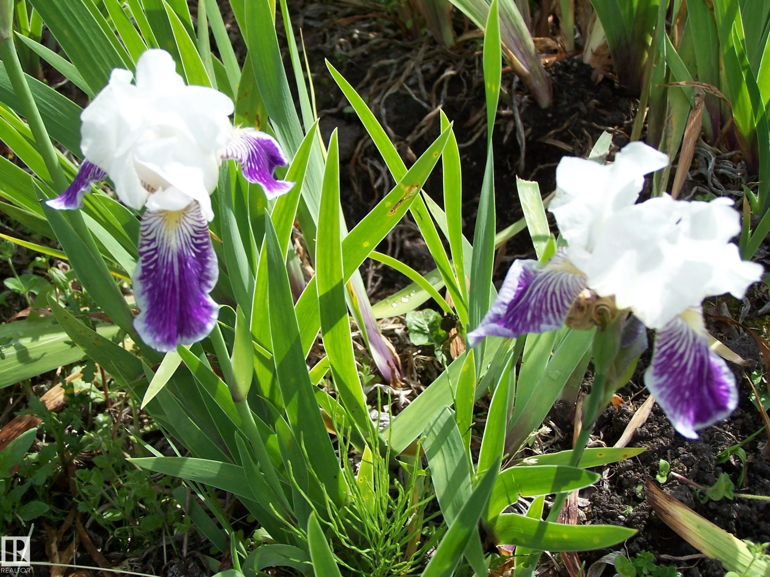 Main Street First Ave