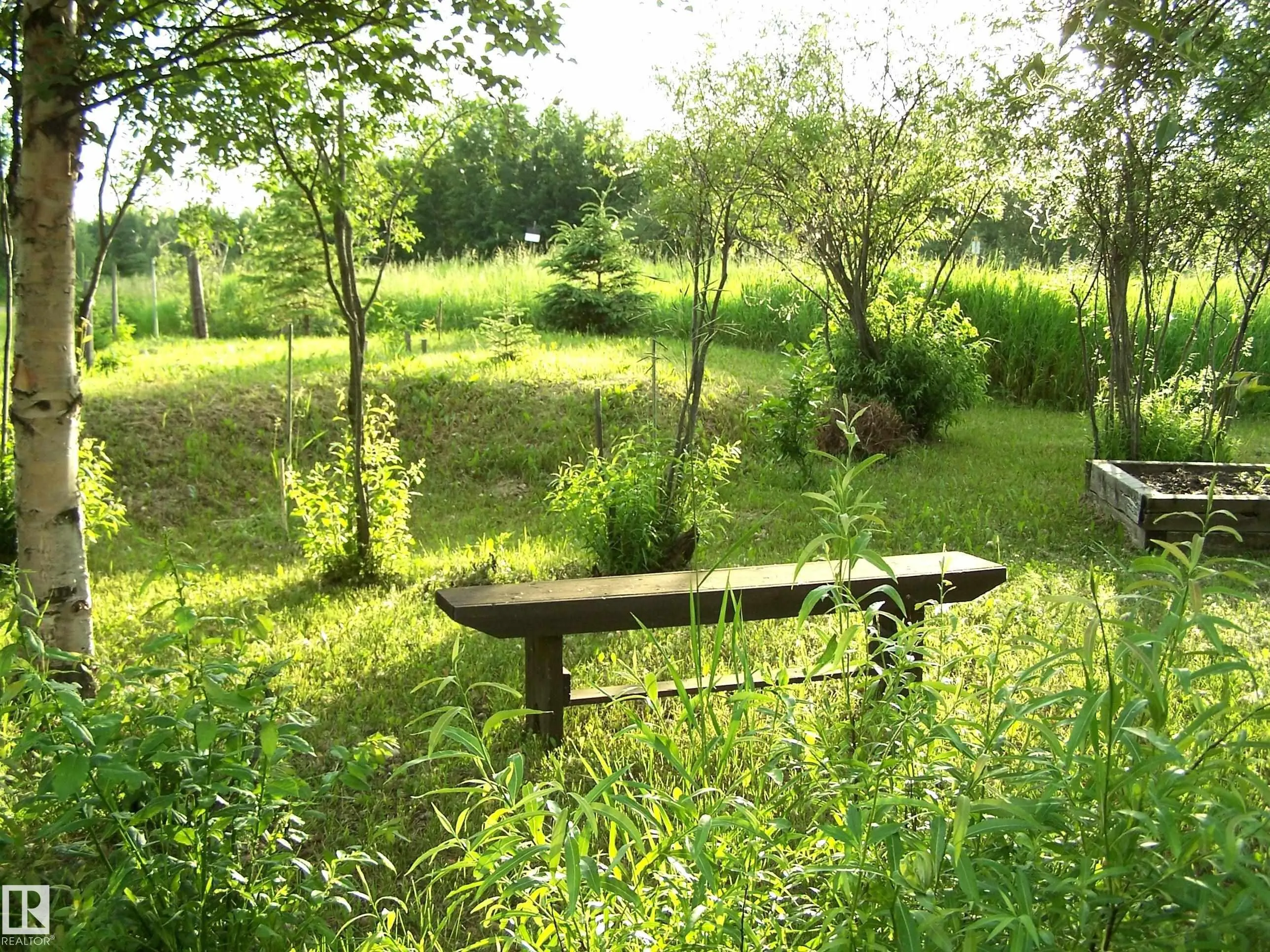 Main Street First Ave