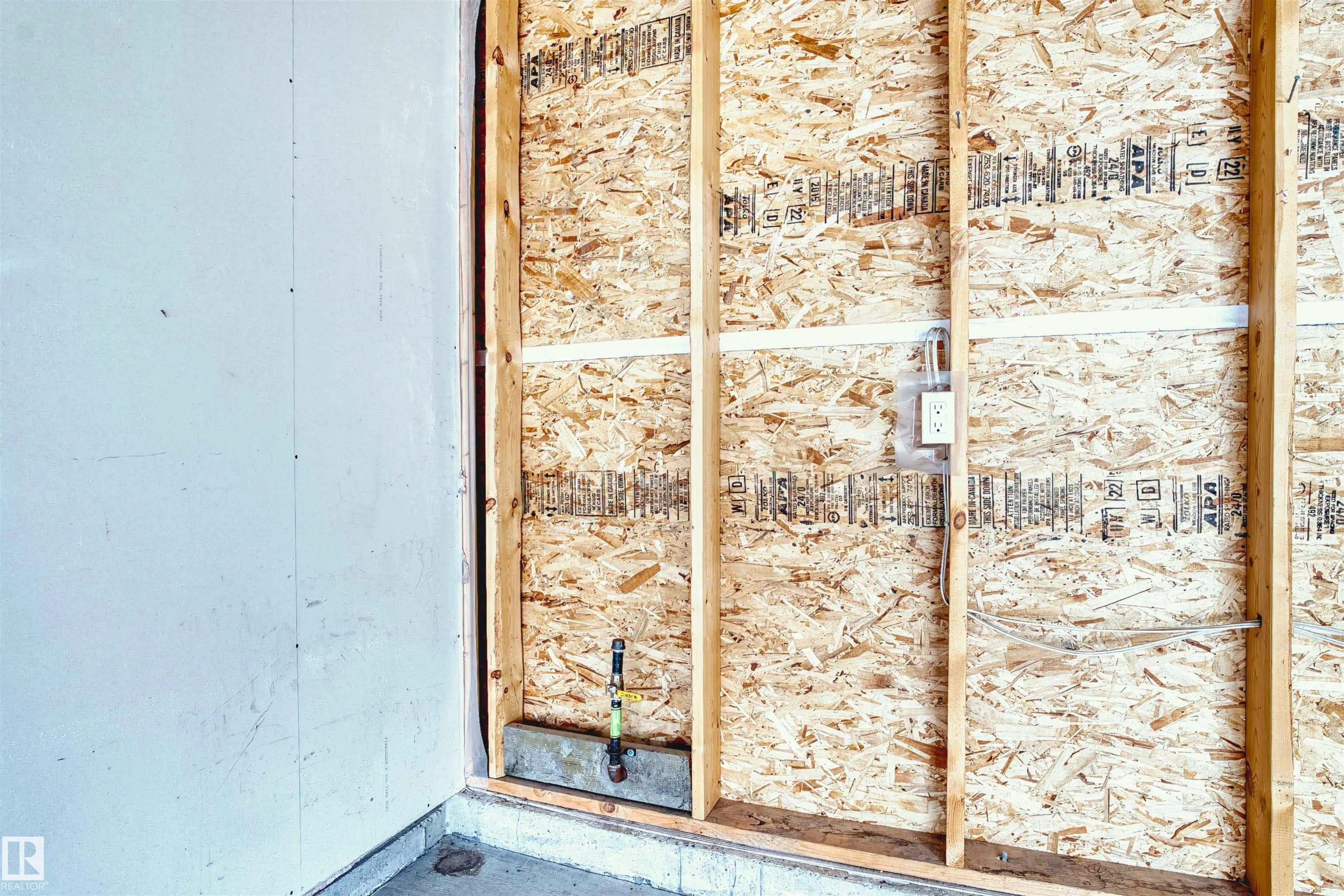 3072 PAISLEY GREEN Green