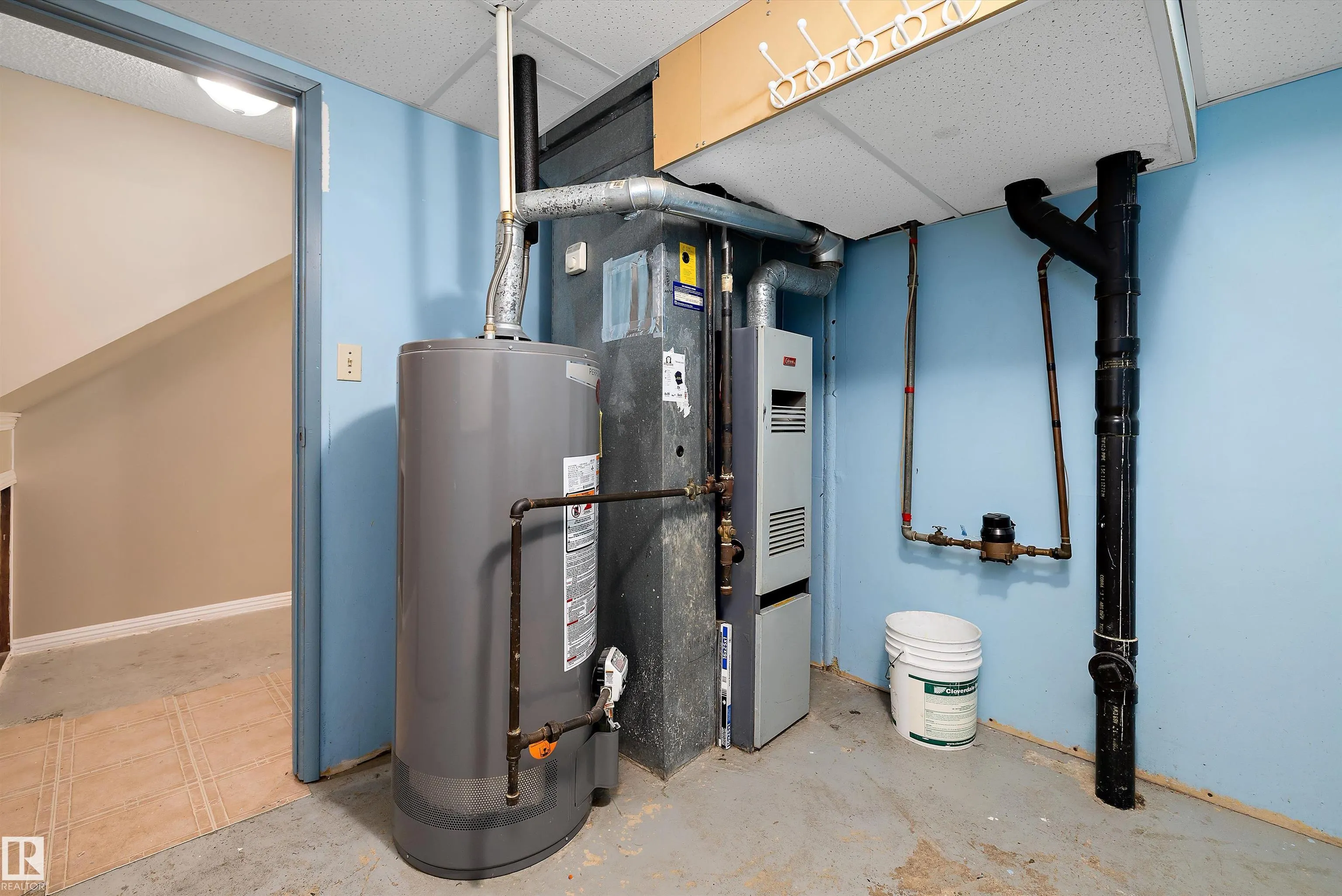 163 ABBOTTSFIELD Road