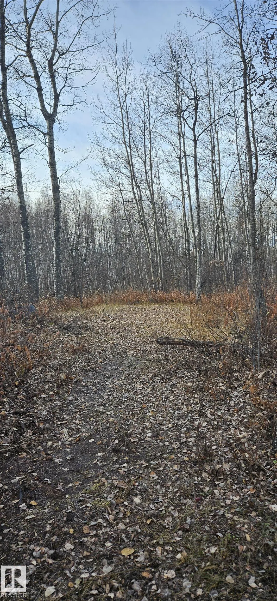 55232 Range Road 34a