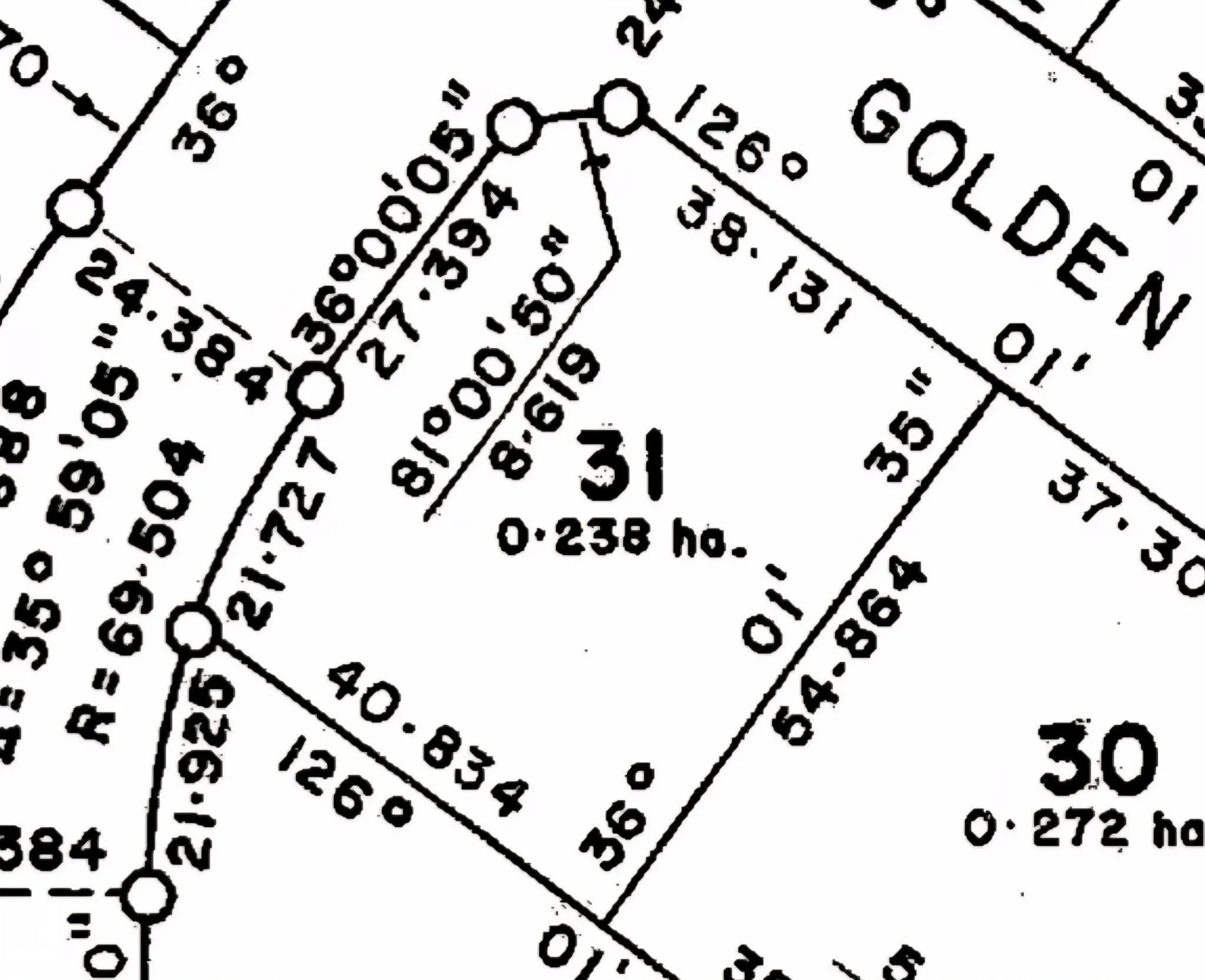 37 (31) Golden Sands Drive (Golden Nodding)
