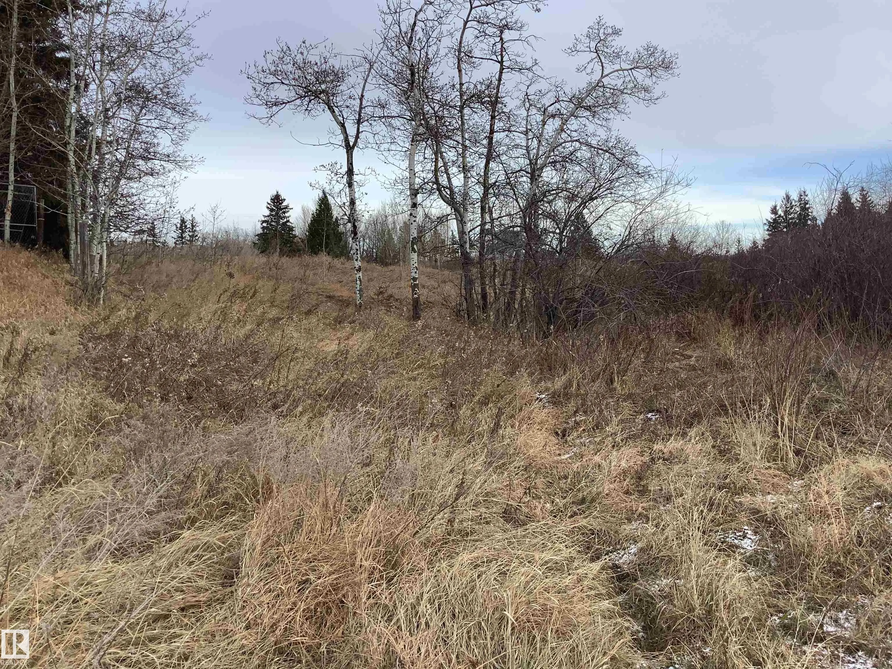 21252 TWP ROAD 540
