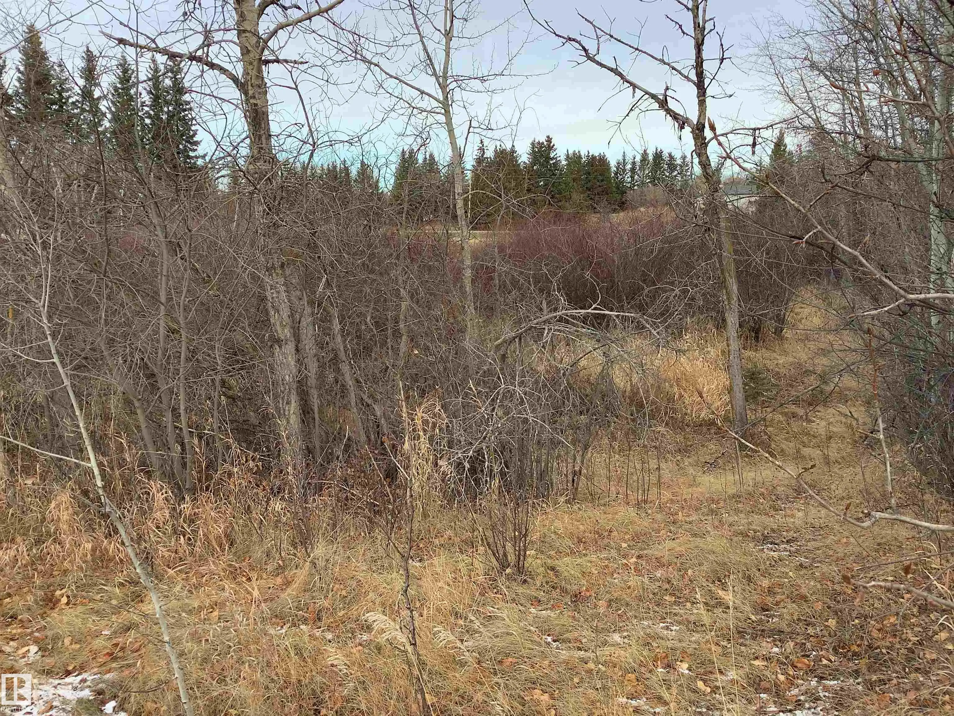 21252 TWP ROAD 540