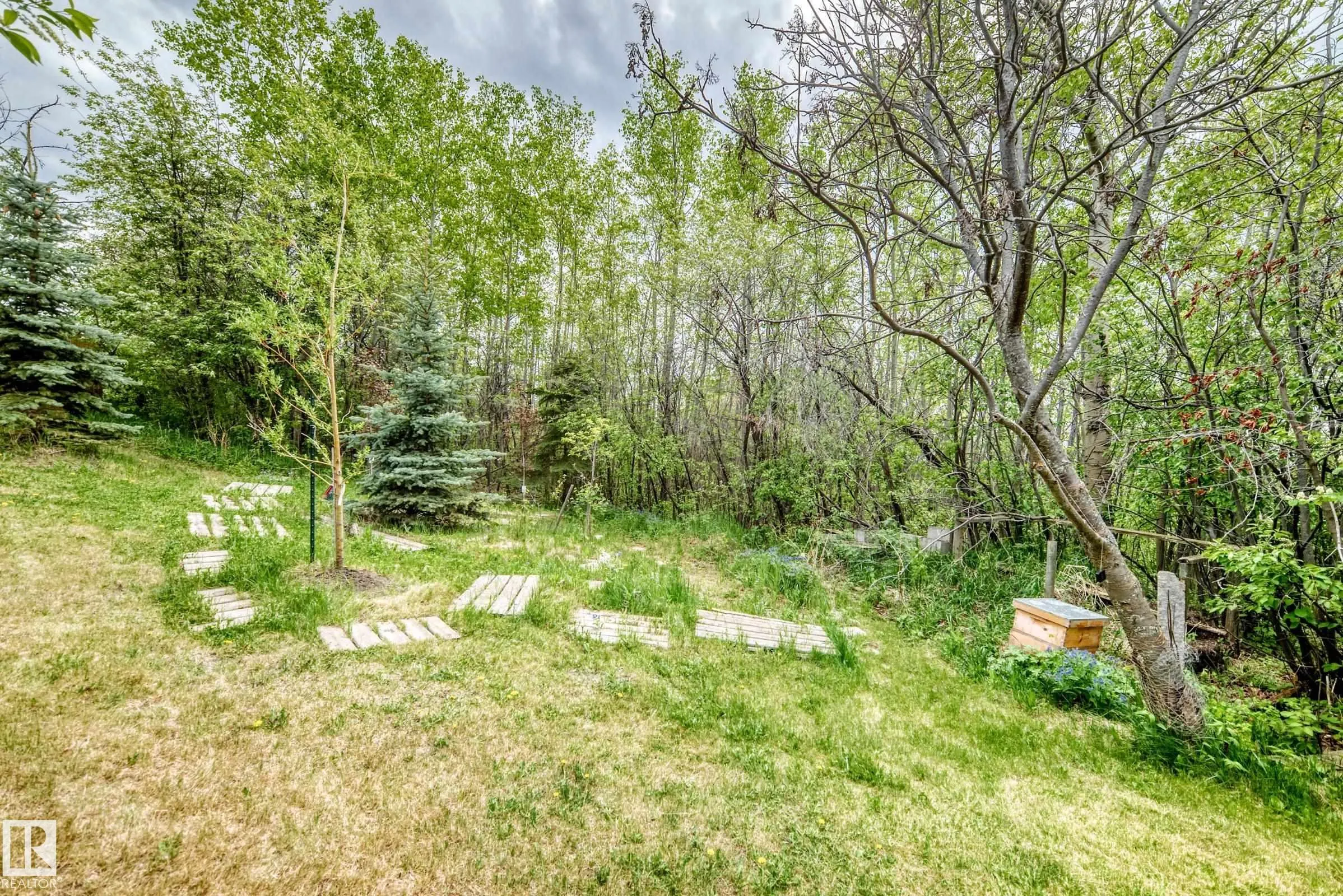 54020 Highway 779