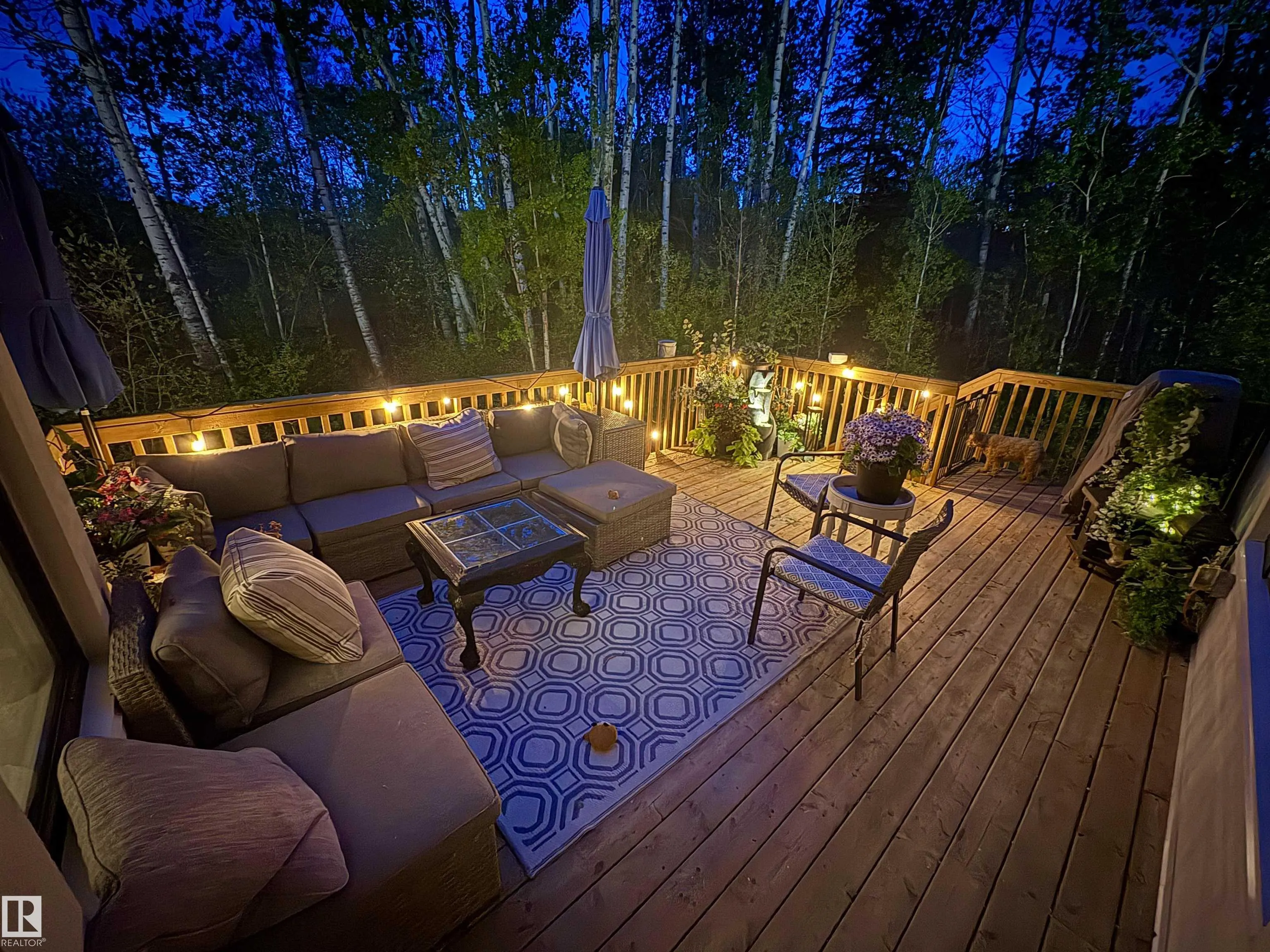 26516 TWP ROAD 514