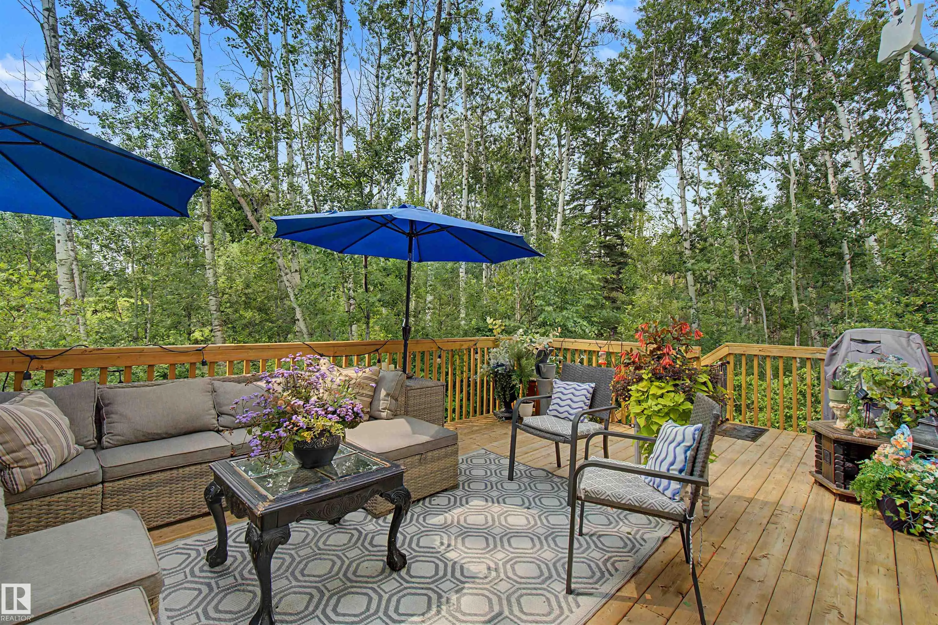 26516 TWP ROAD 514