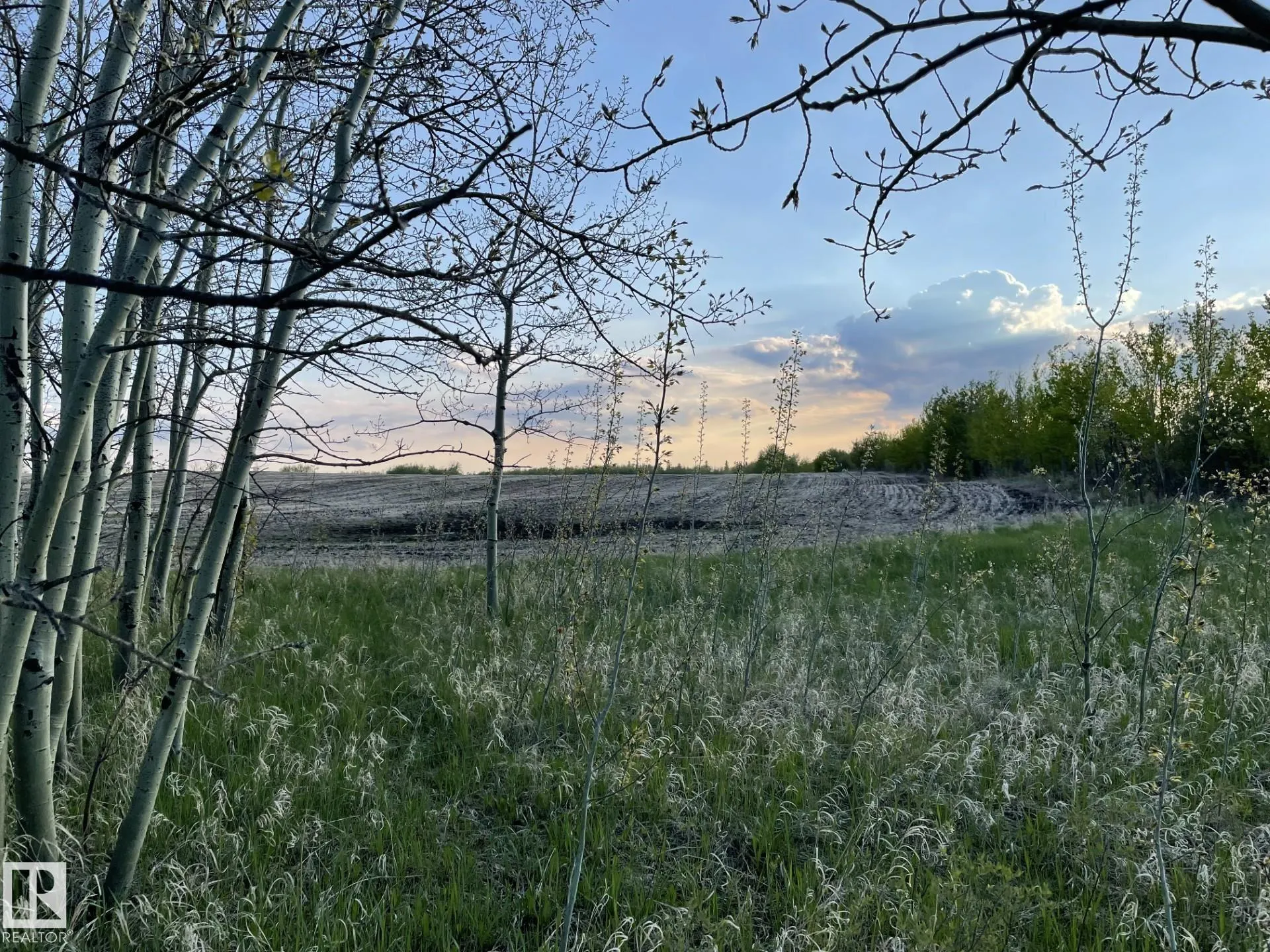 TWP 531 RR 223