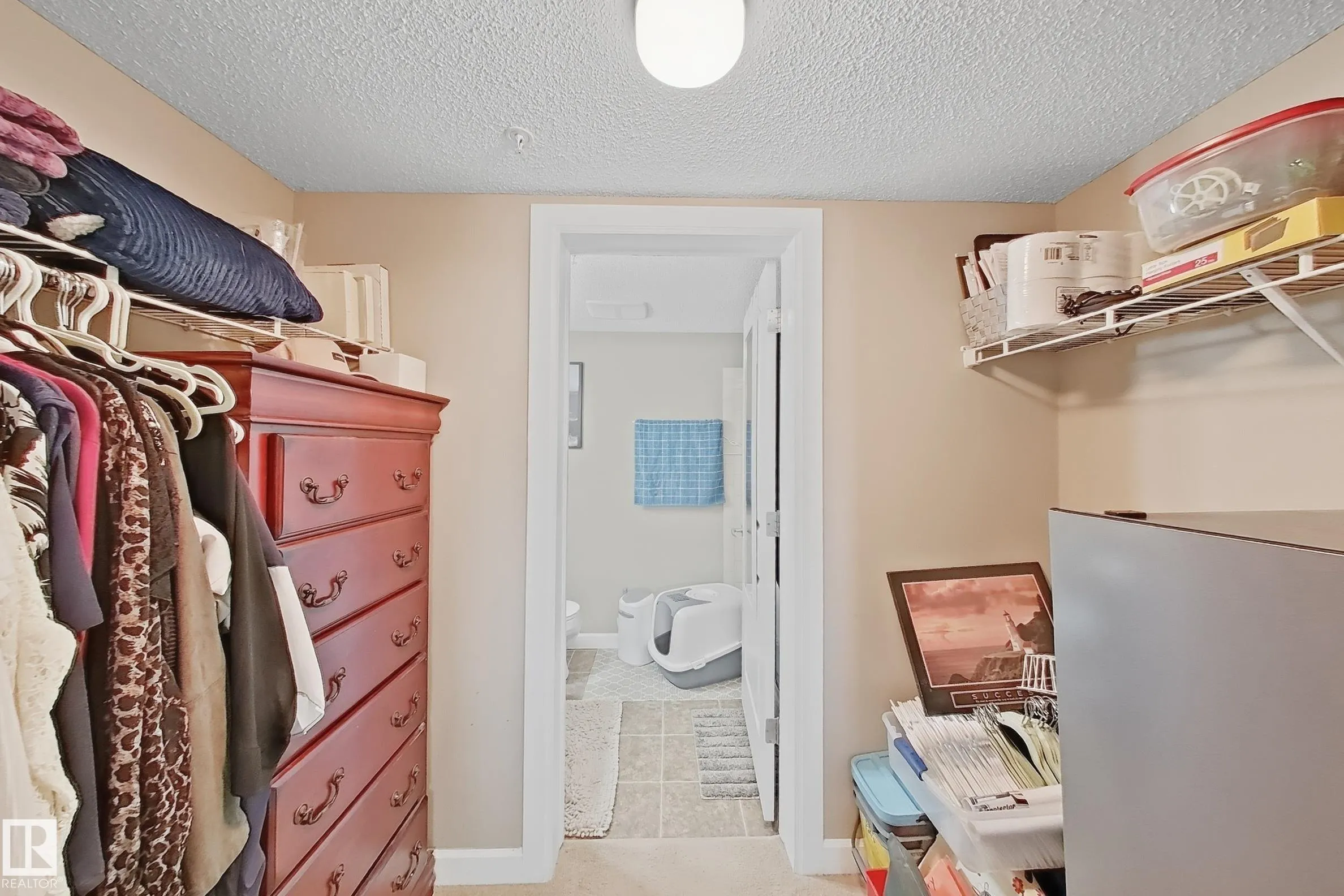 3715 WHITELAW Lane