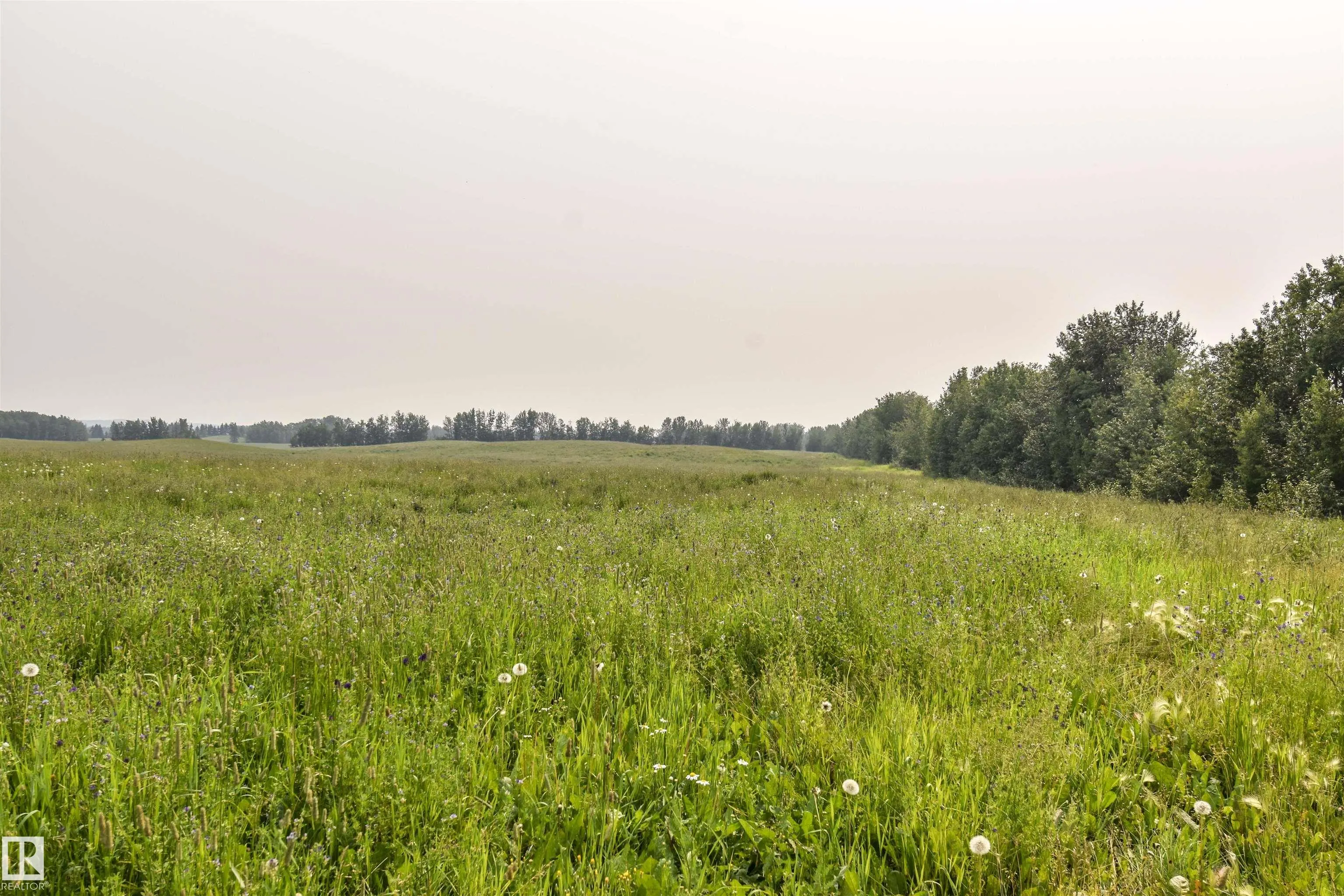 Twp Rd 534 and Hwy 43