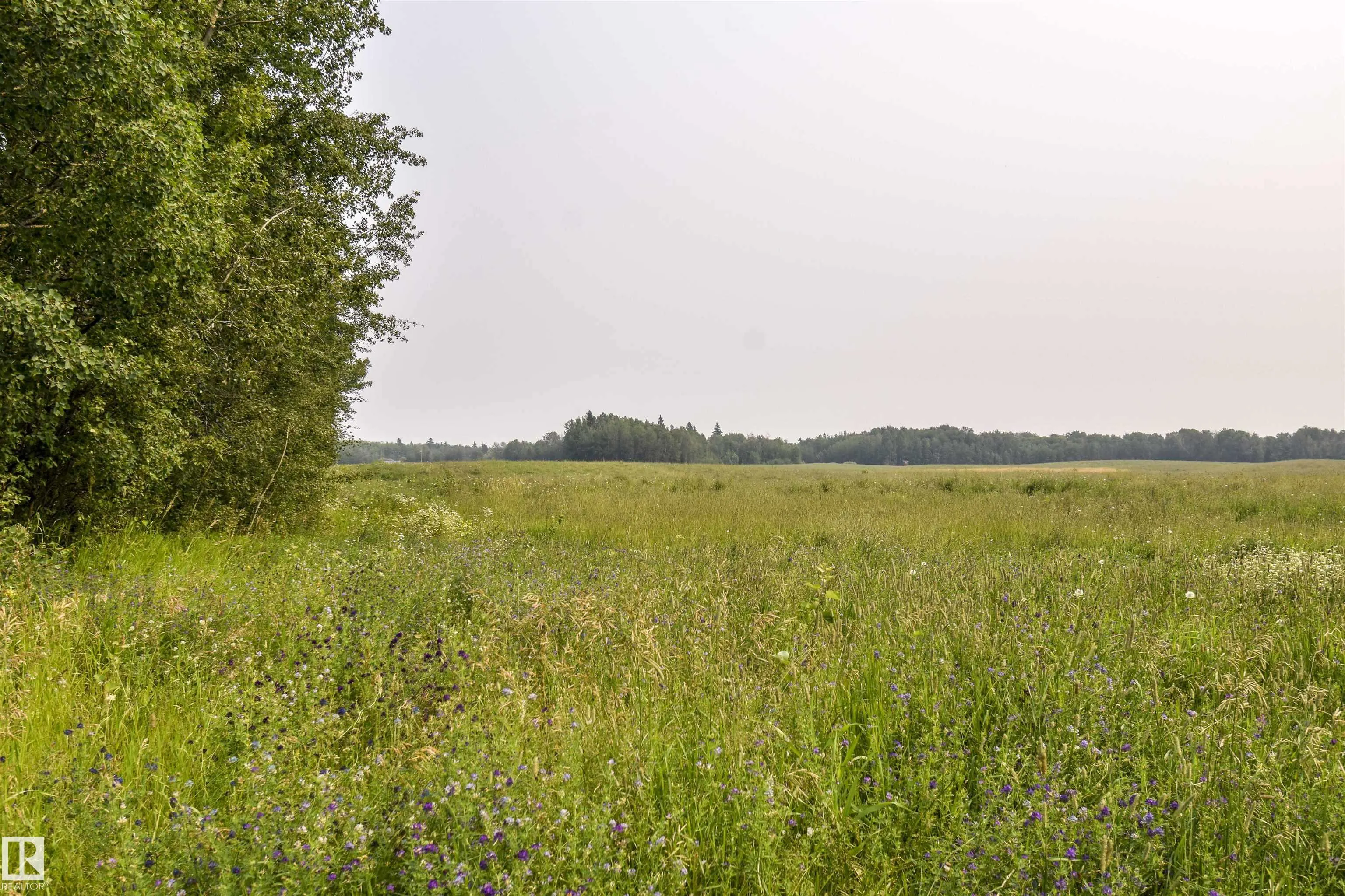 Twp Rd 534 and Hwy 43