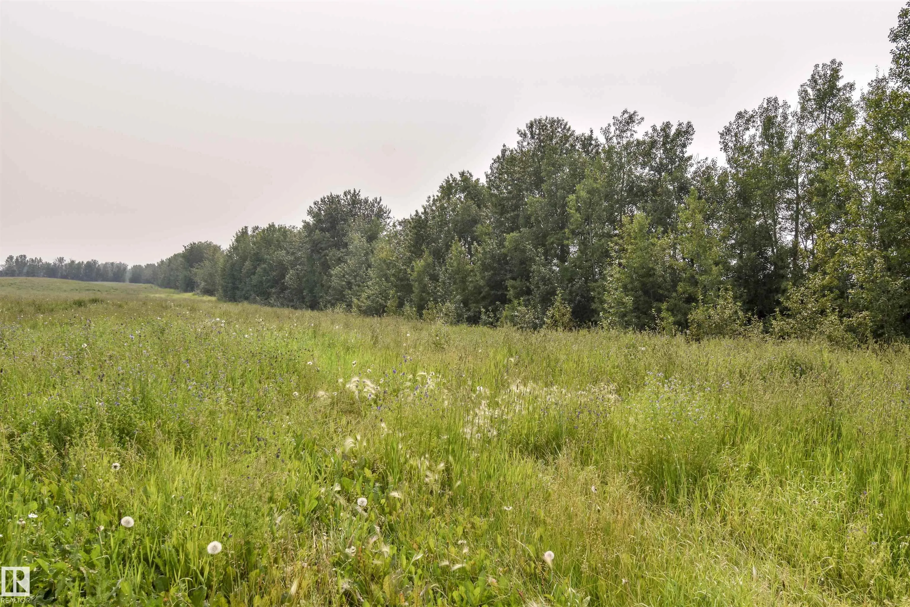 Twp Rd 534 and Hwy 43