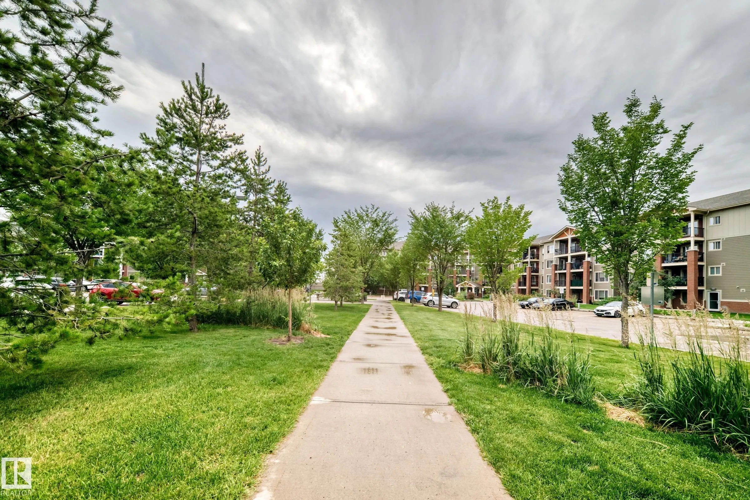 3715 WHITELAW Lane