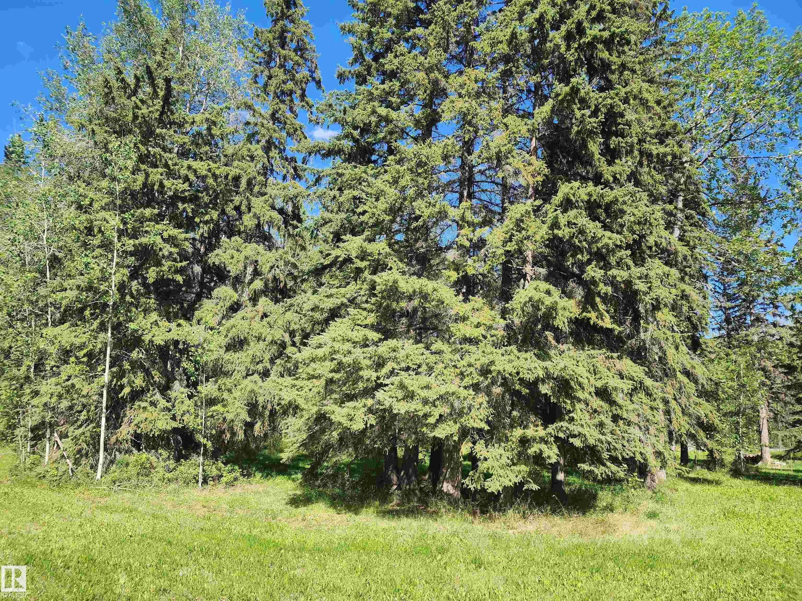 463055 RGE ROAD 64