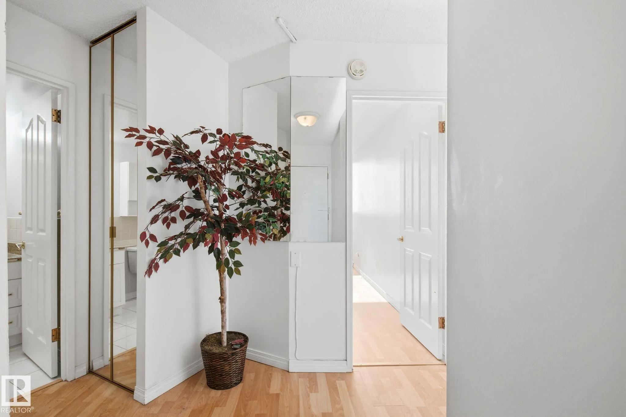 13910 STONY PLAIN Road