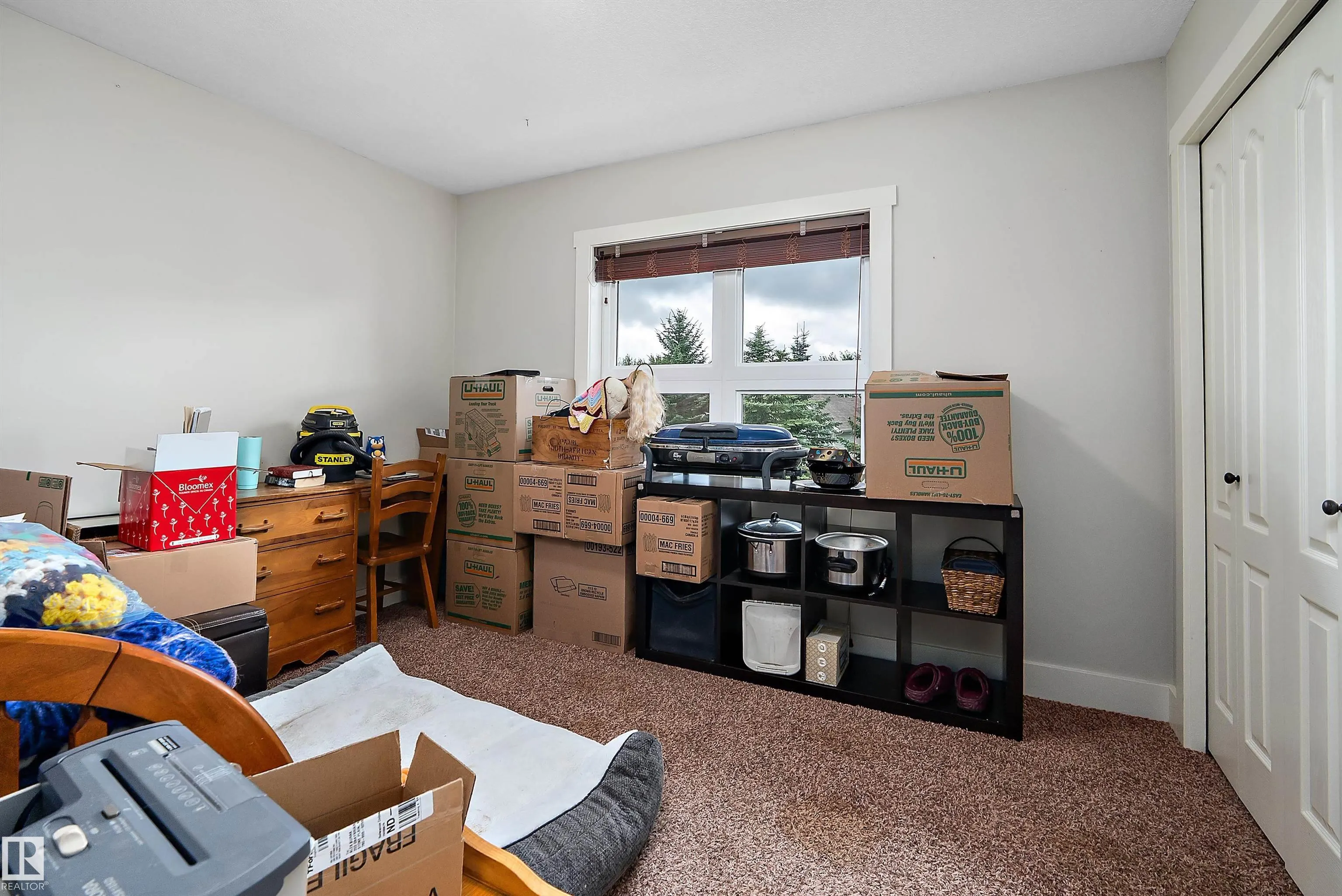 203 GRAYBRIAR Green